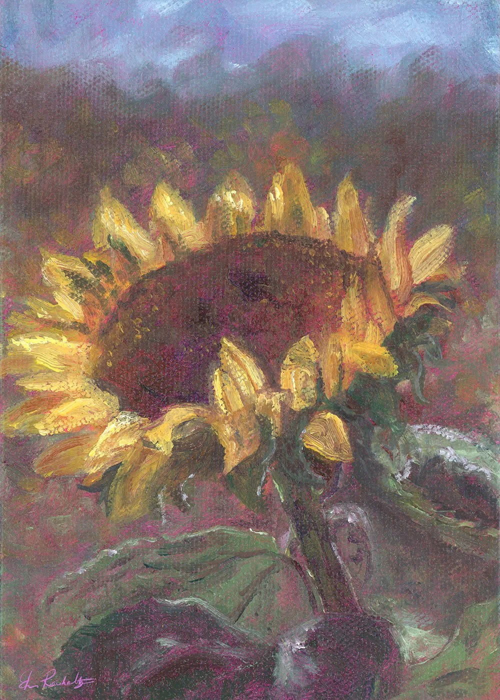 Reinholtz,Carmen_sSunflower.jpg