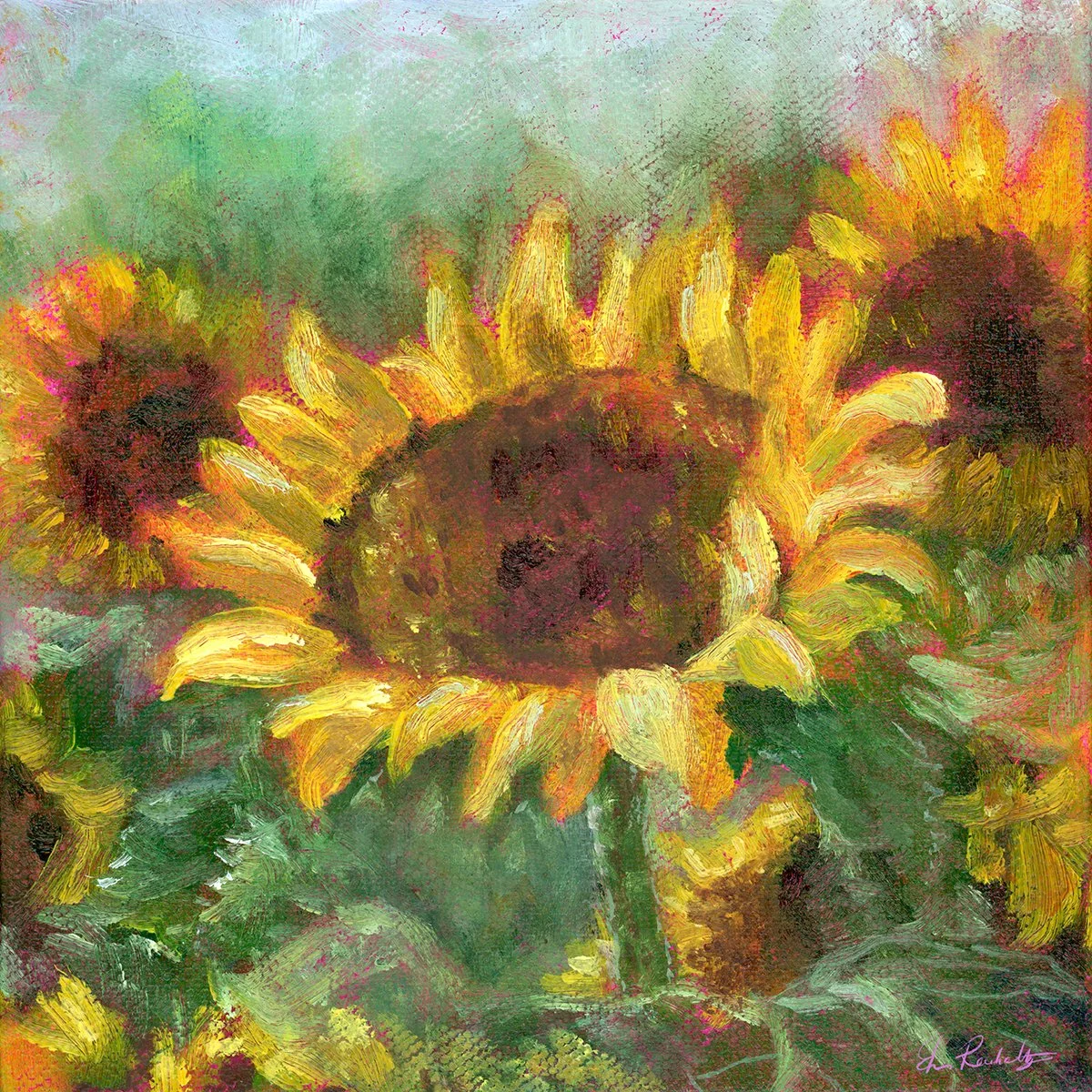 Reinholtz,Francina_sSunflower.jpg