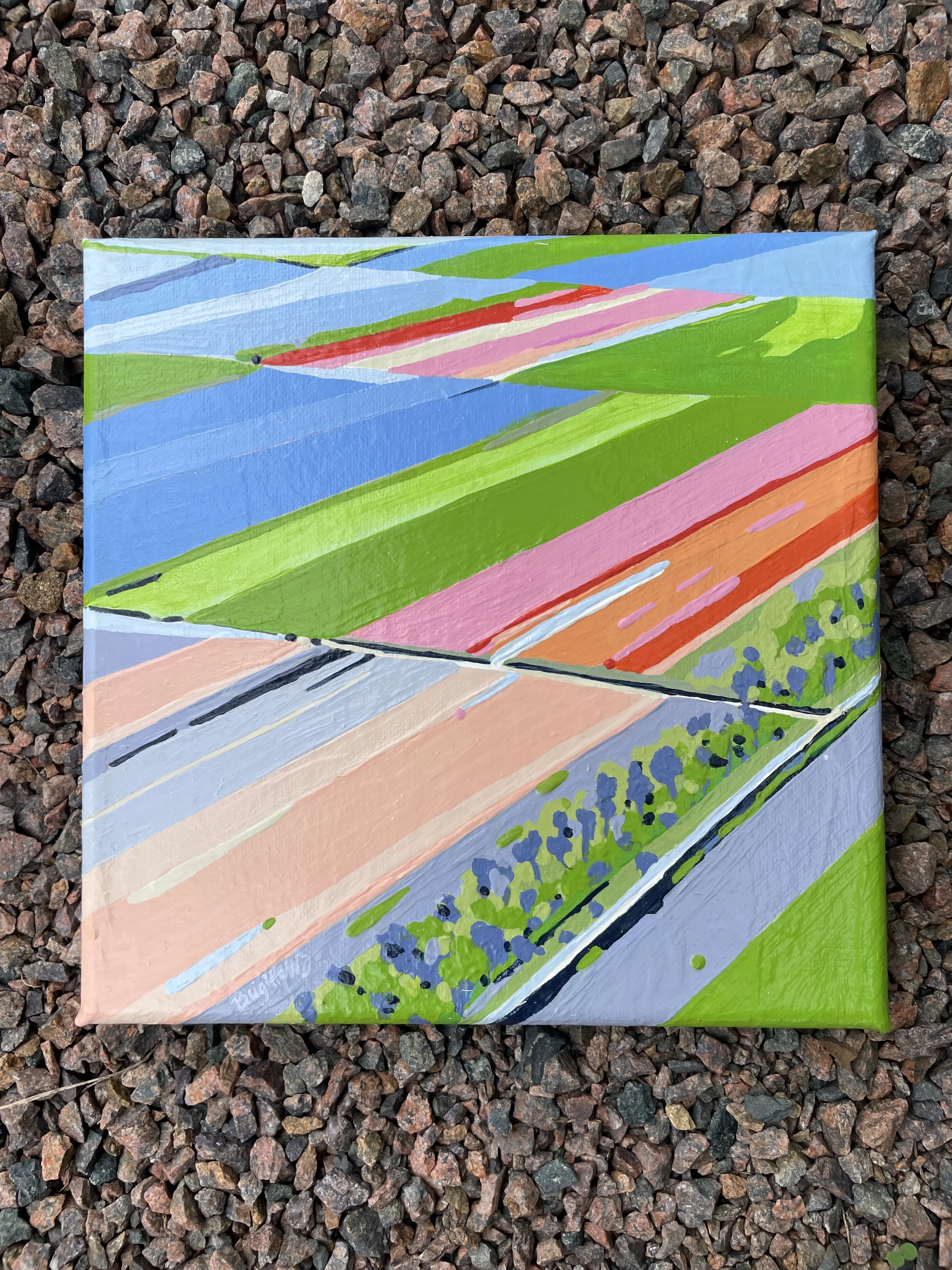 Sultana-TulipFields1.jpg