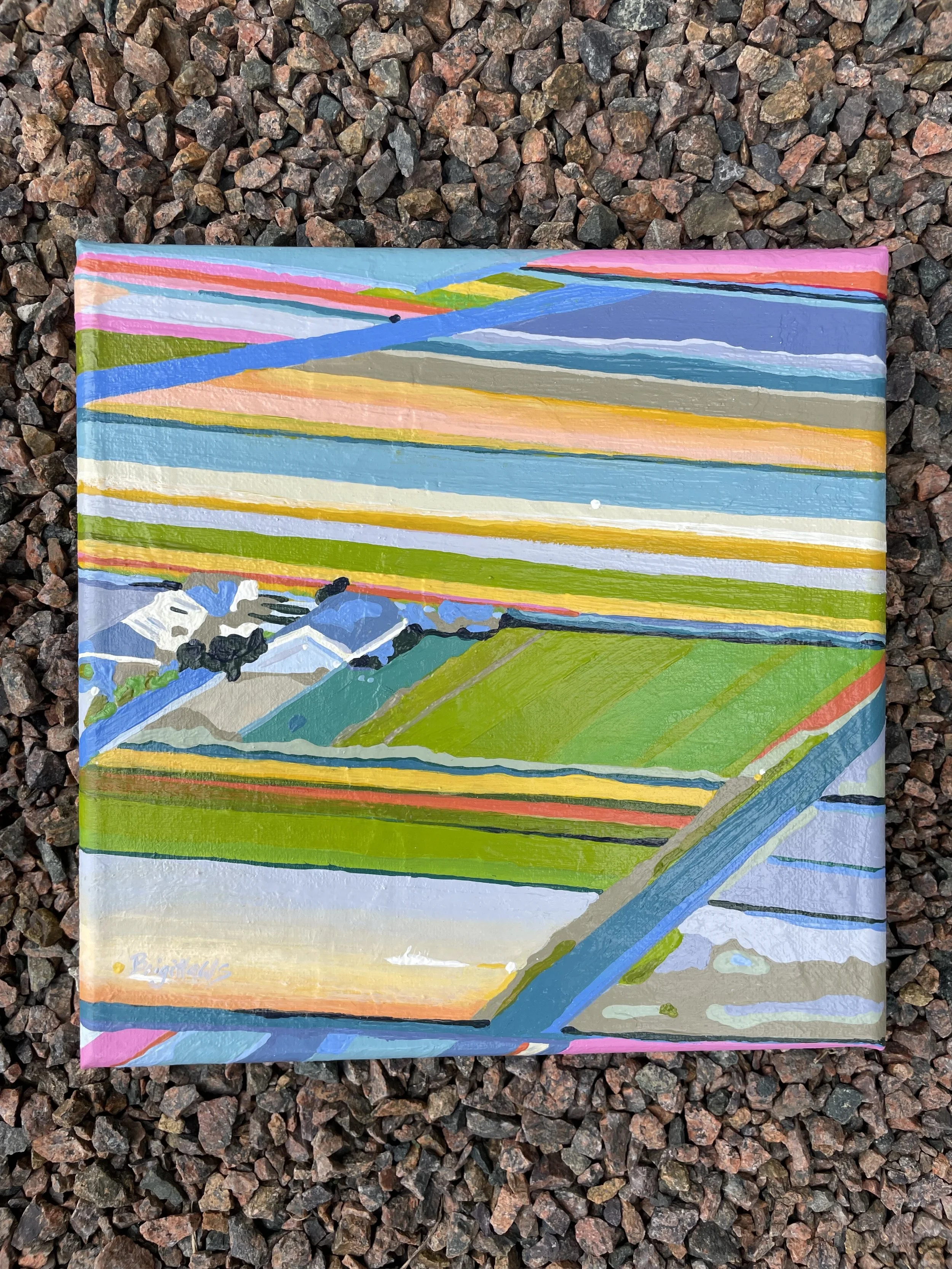 Sultana-TulipFields2.jpg