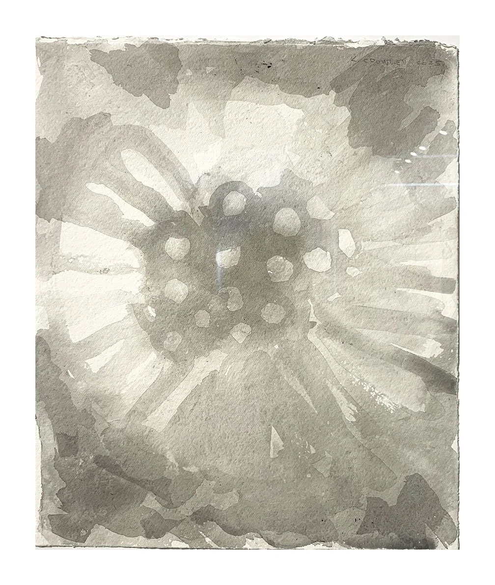 Dandelion (Pissenlit)
watercolor on paper - framed
