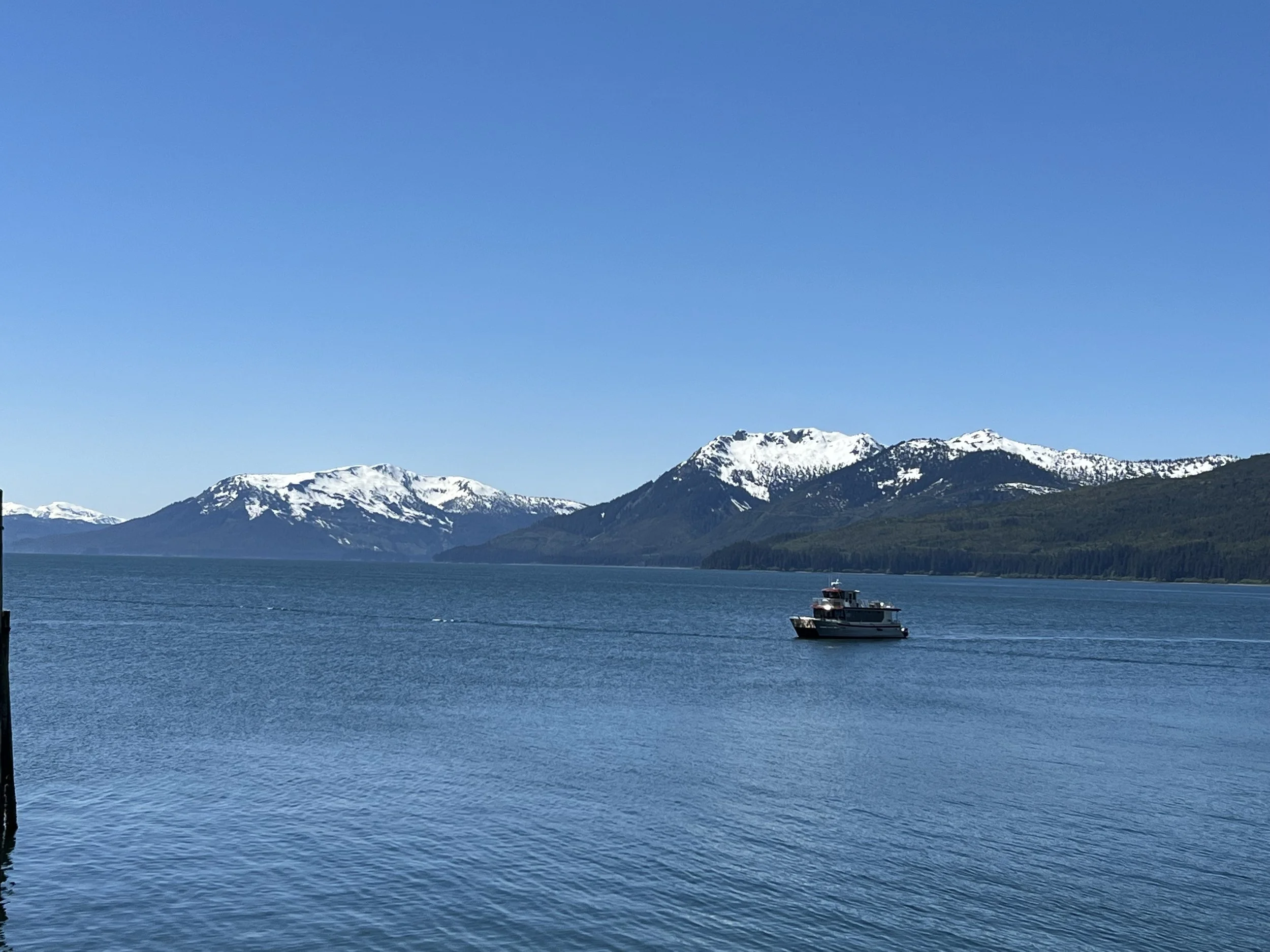 IMG_3854.jpeg
