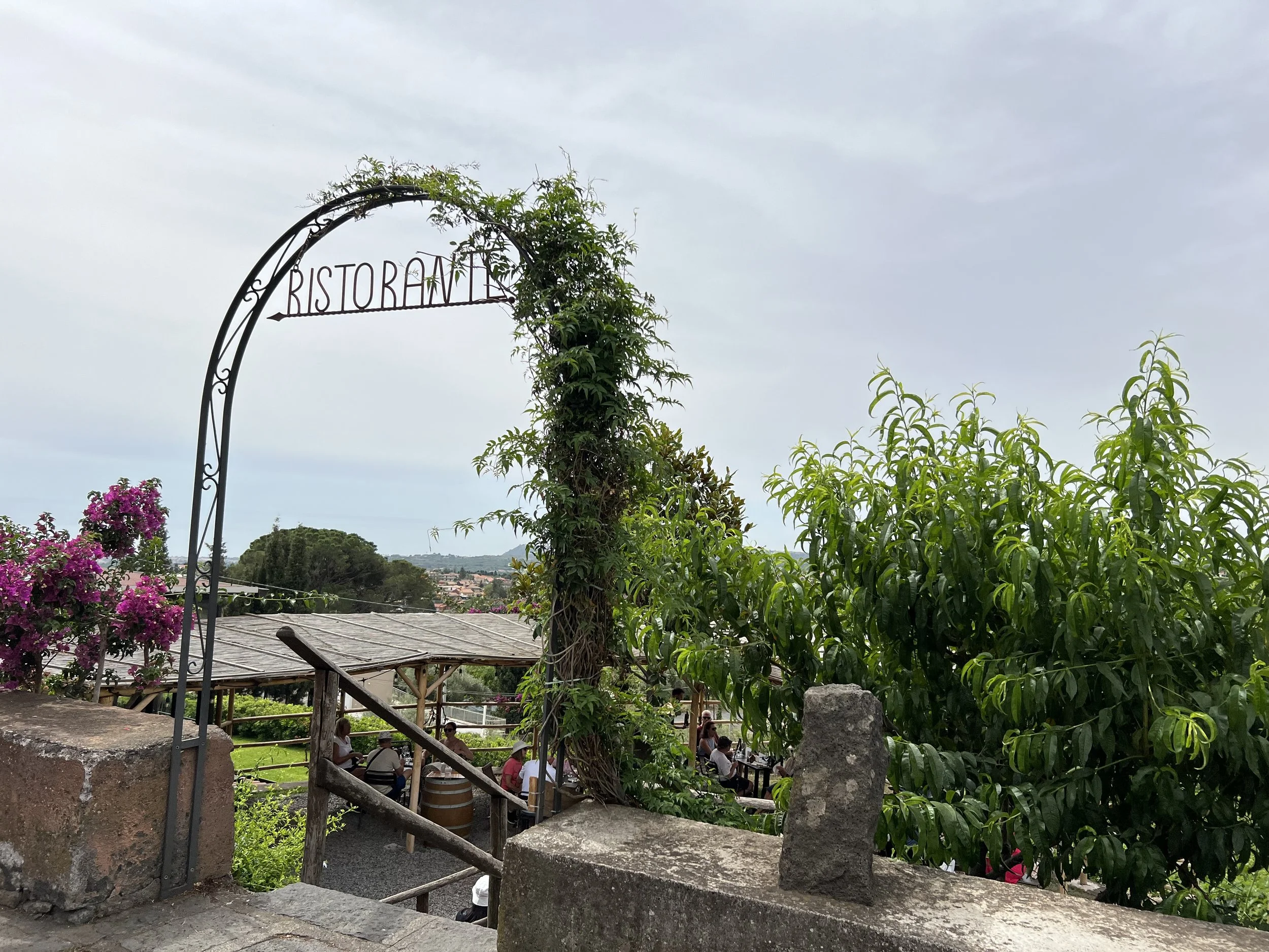 IMG_5531.jpeg