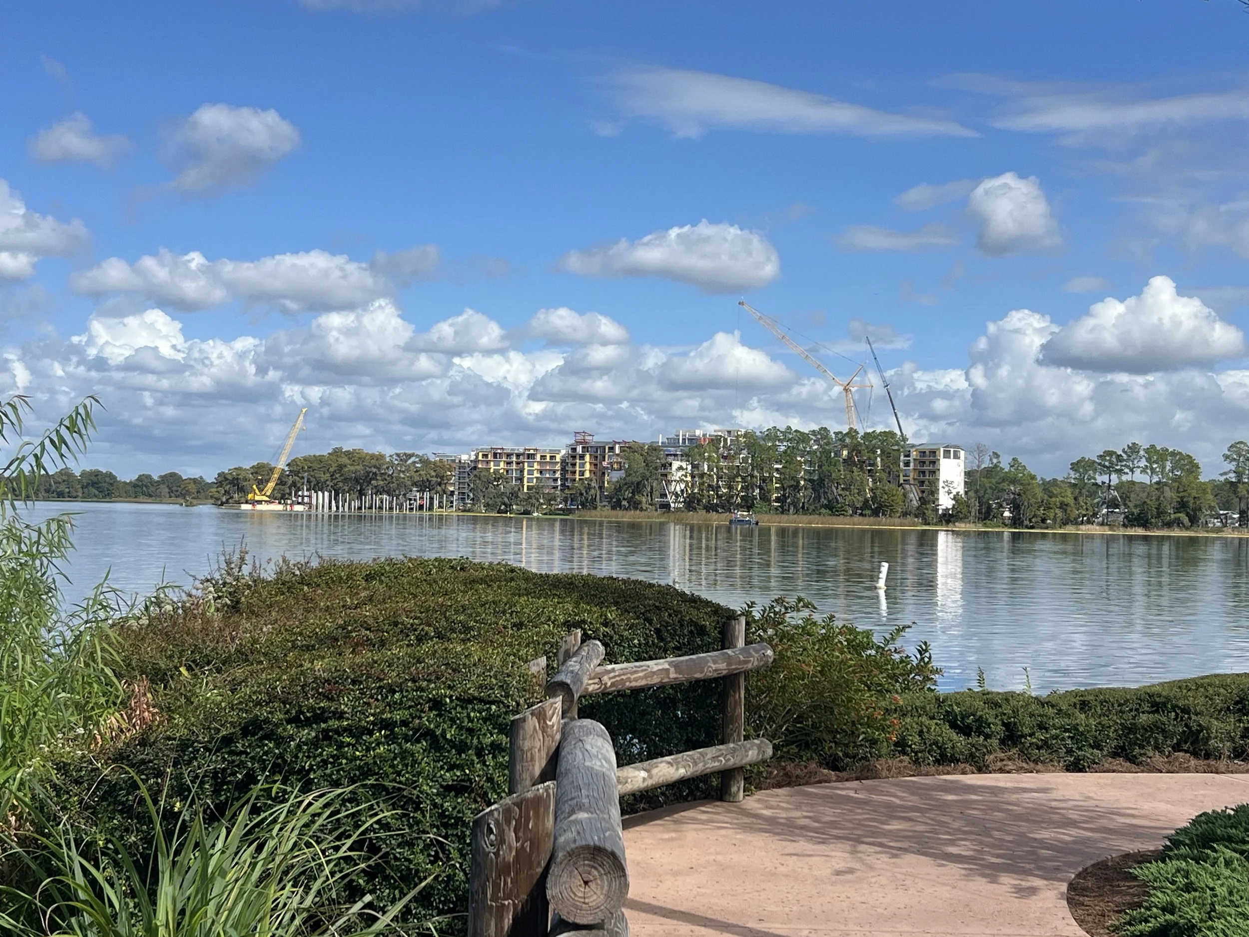 IMG_7167.jpeg