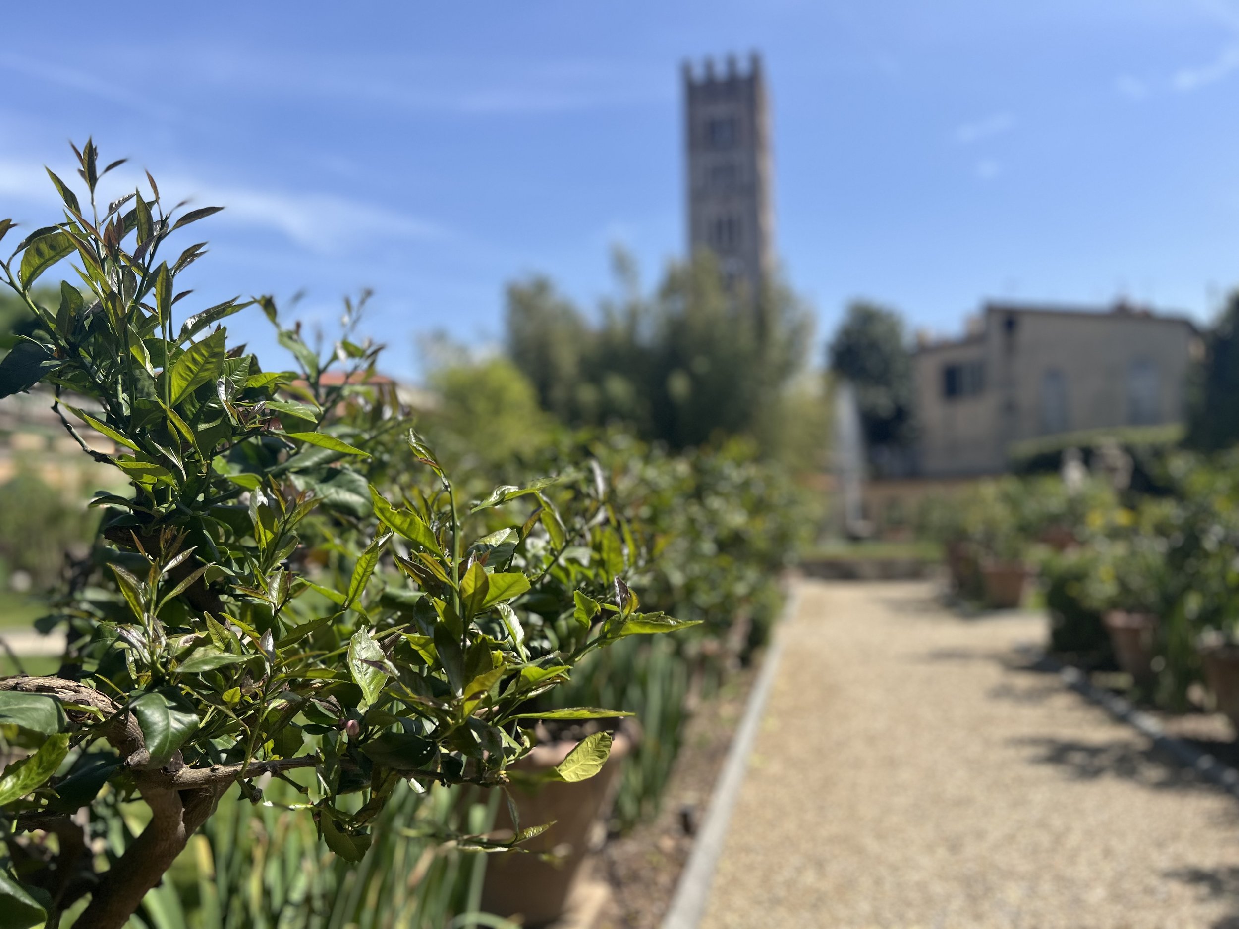 IMG_4821.jpeg