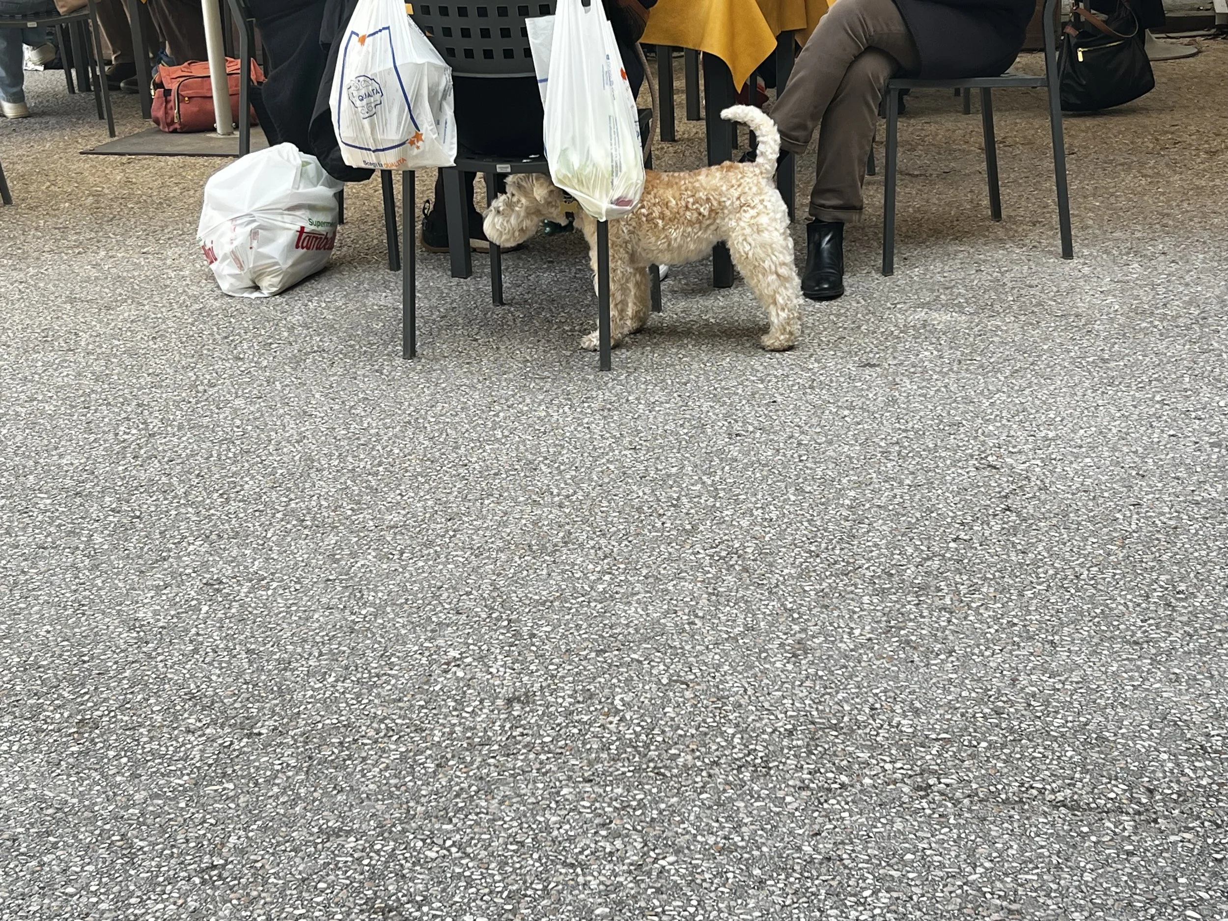 IMG_4711.jpeg