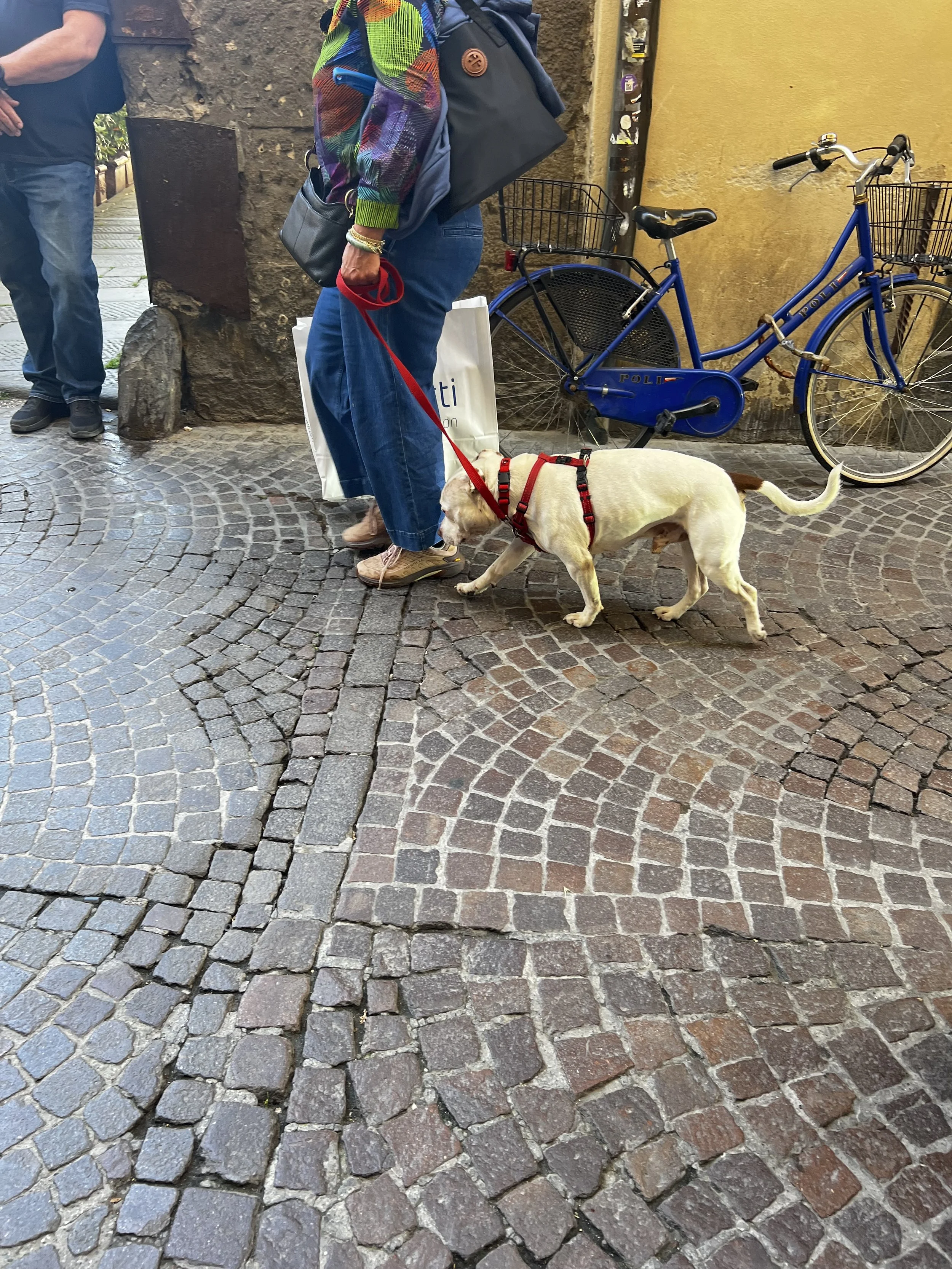 IMG_4712.jpeg