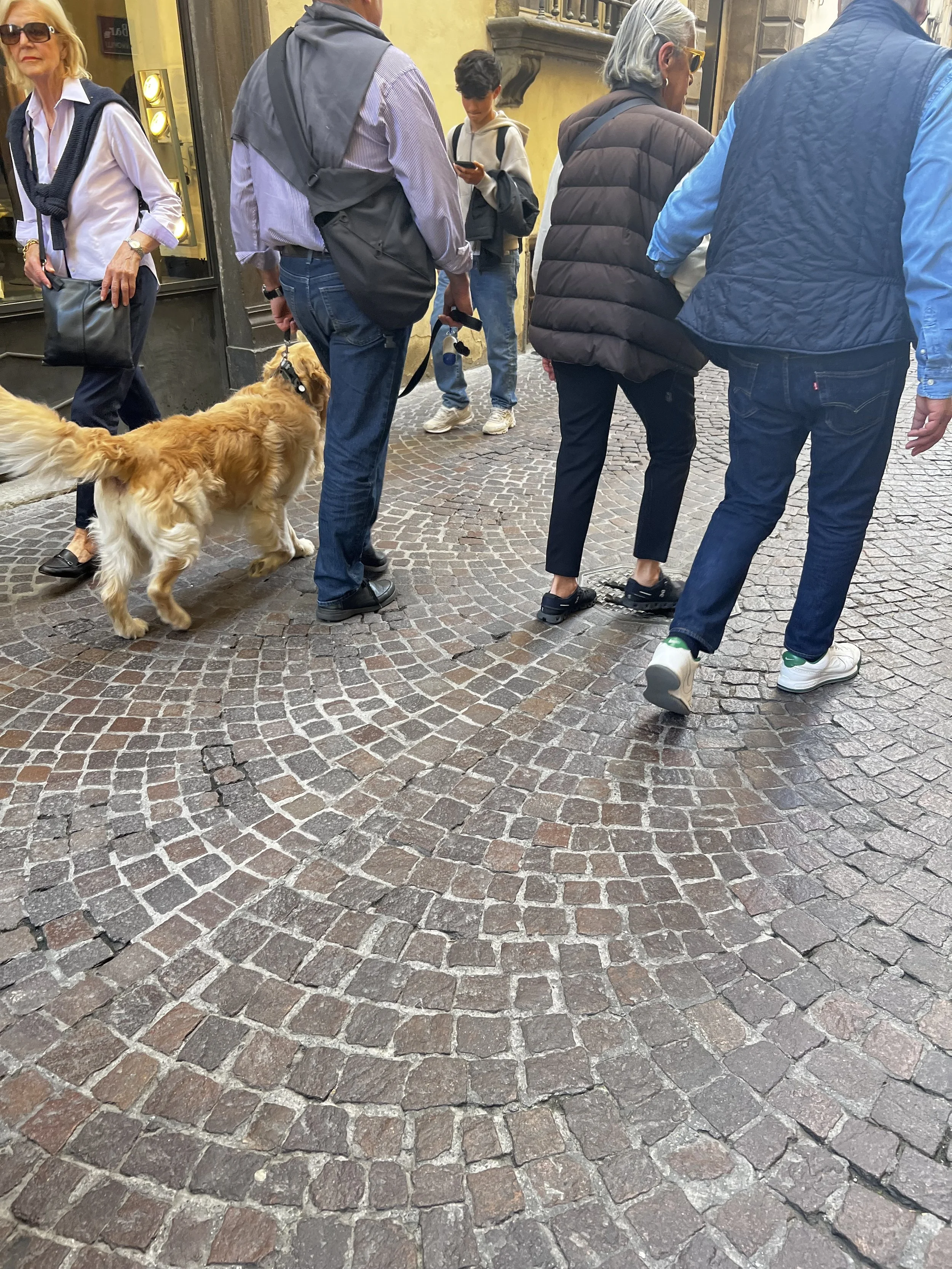 IMG_4713.jpeg
