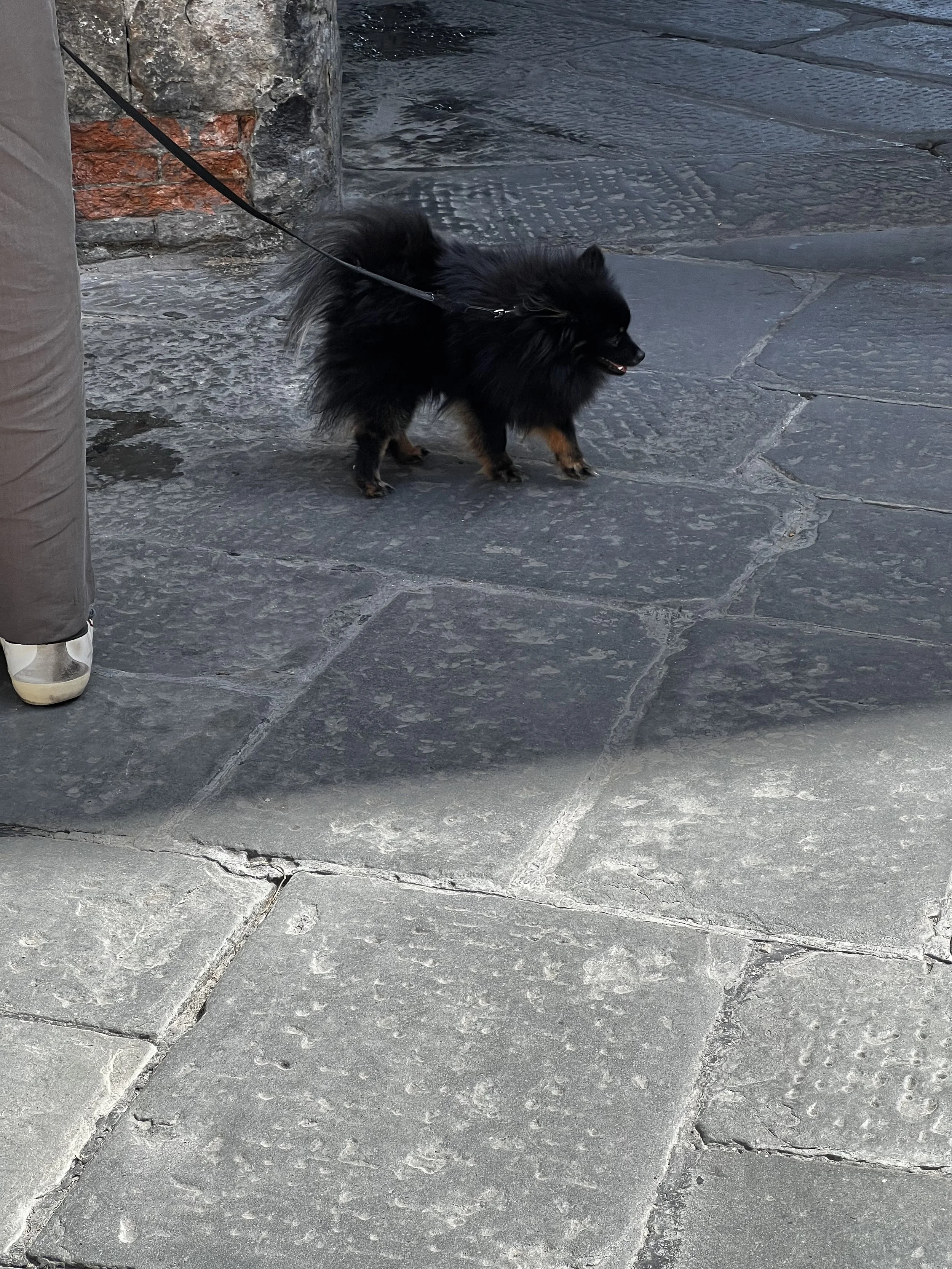 IMG_4728.jpeg