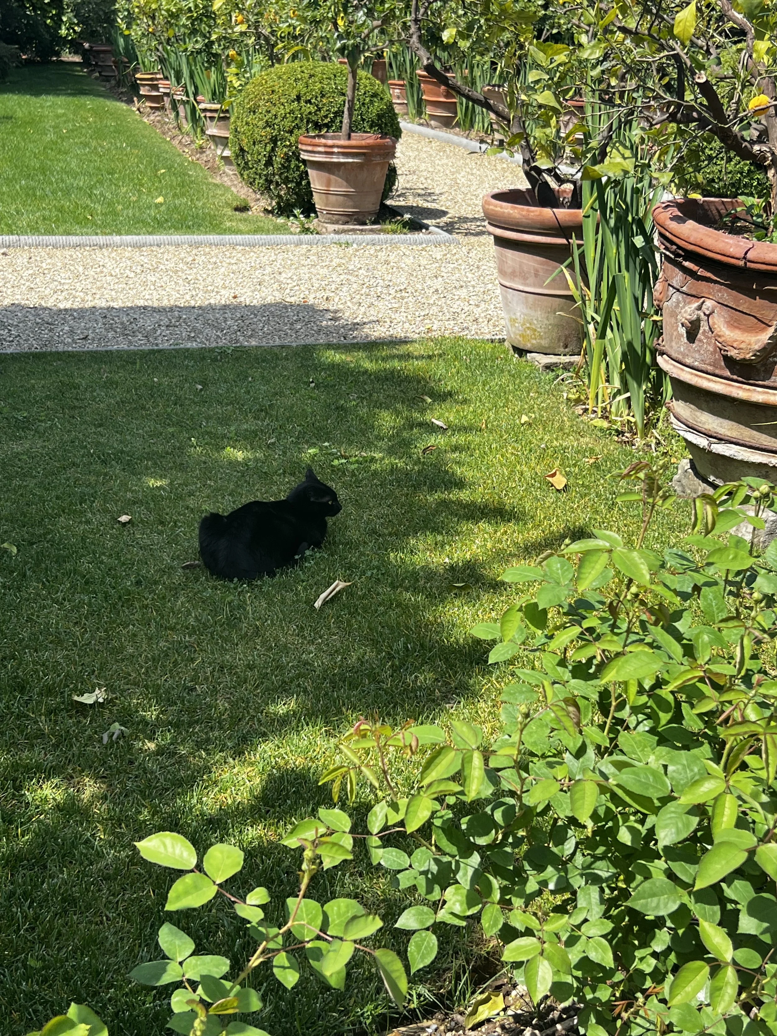 IMG_4811.jpeg