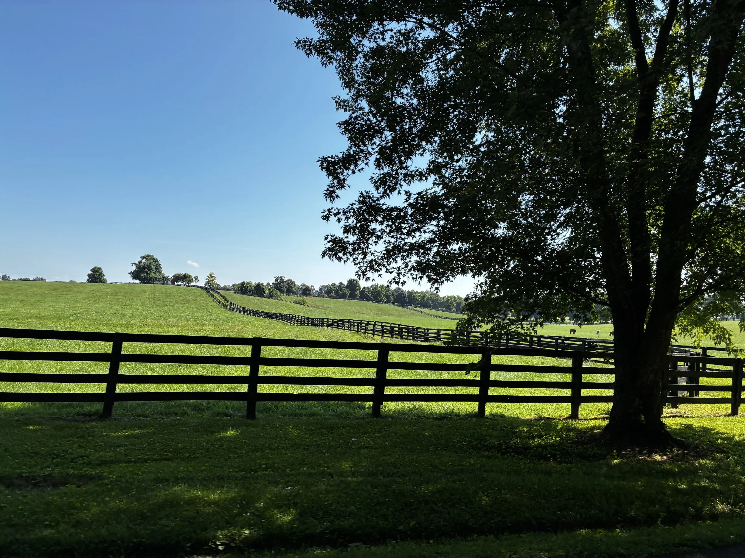 IMG_0787.jpeg