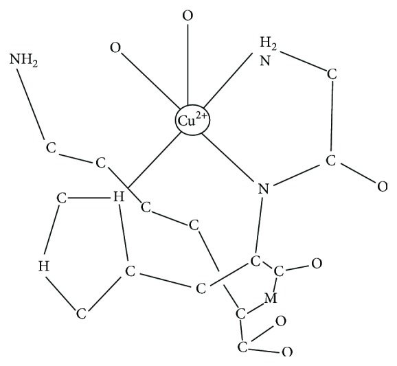 Molecular crystal structure of the tripeptide GHK-Cu.