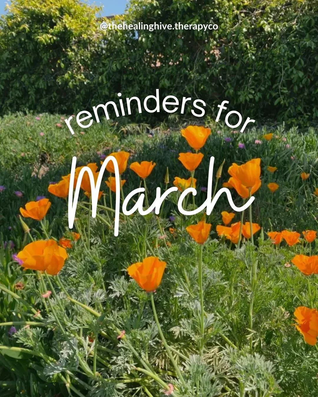 happy March🩷🧡 

here are some gentle reminders as we move forward into another season of change💐 

👉🏻 FOLLOW @thehealinghive.therapyco for more relatable content + how we challenge traditional mental health therapy 🛋️✨

Looking to start therapy