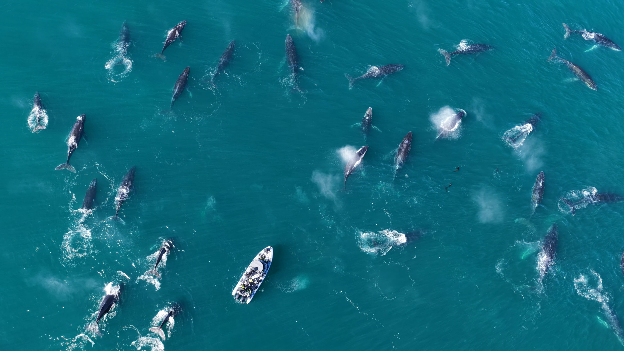 Screenshot 2026-01-14 203935.png