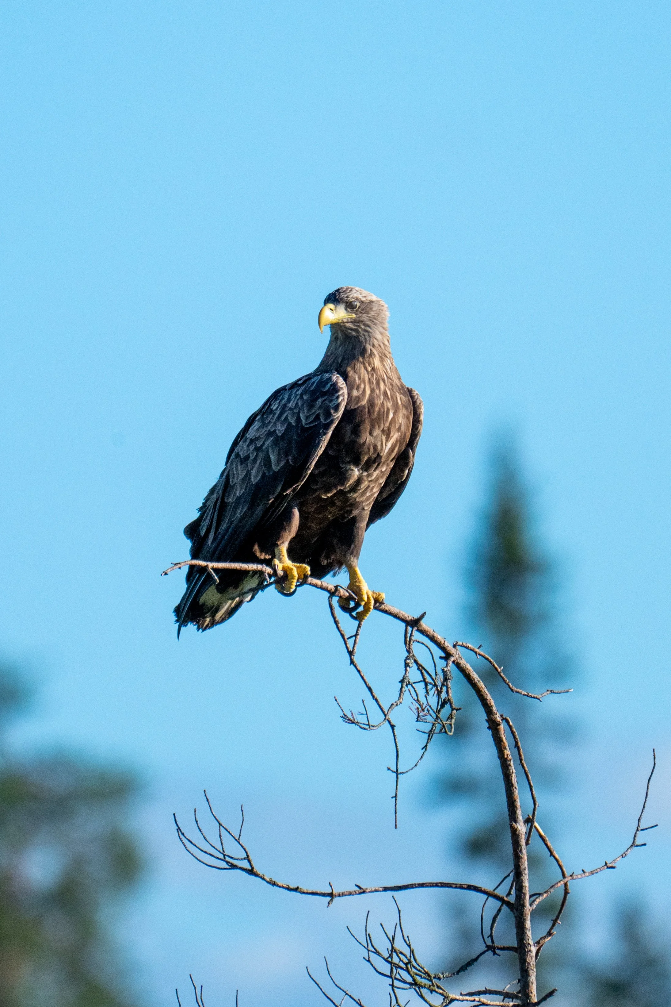 DSC_7125.jpg