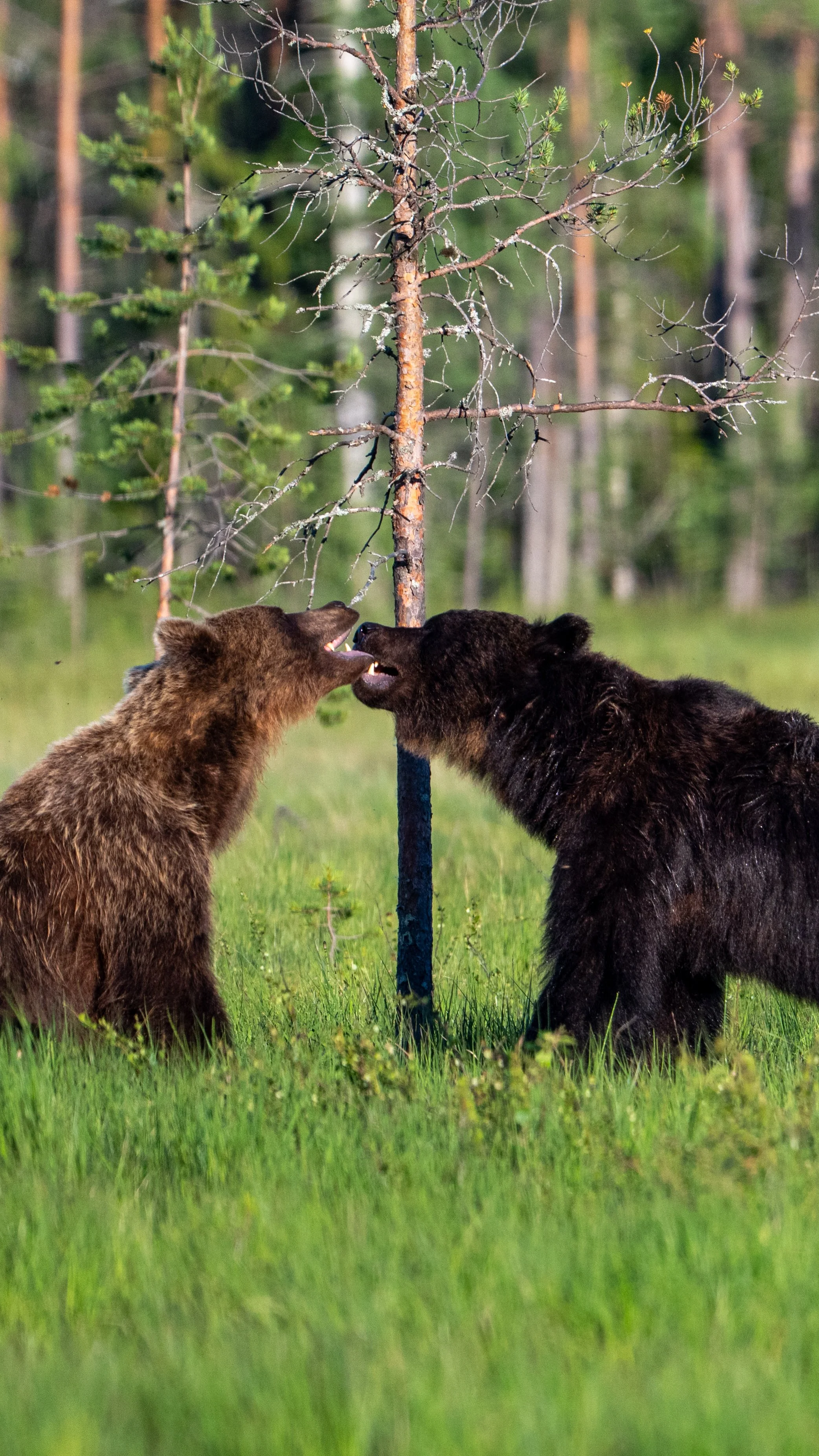 DSC_7167-2.jpg