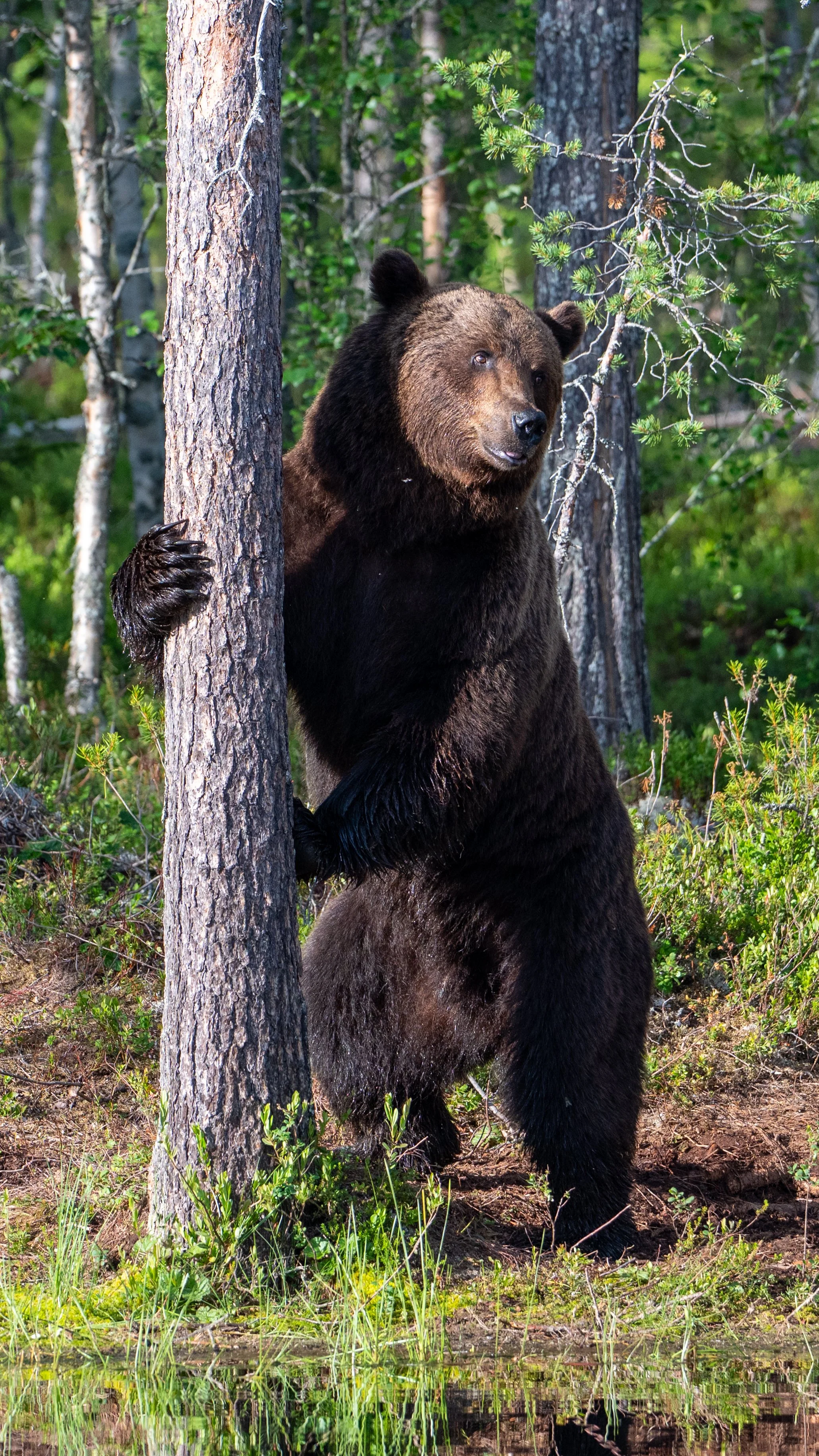 DSC_7219.jpg
