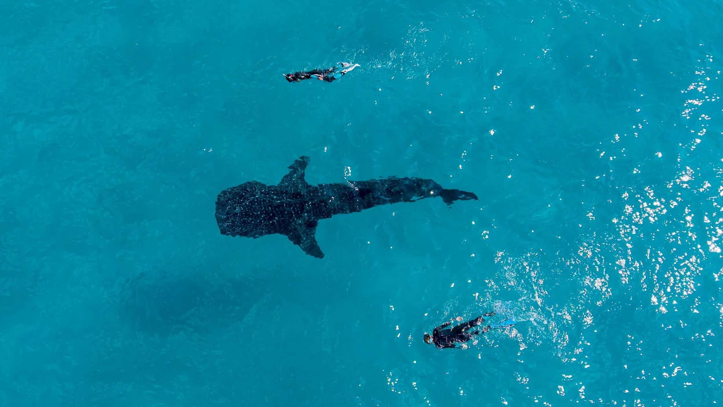 DJI_20260723114206_0103_D.jpg