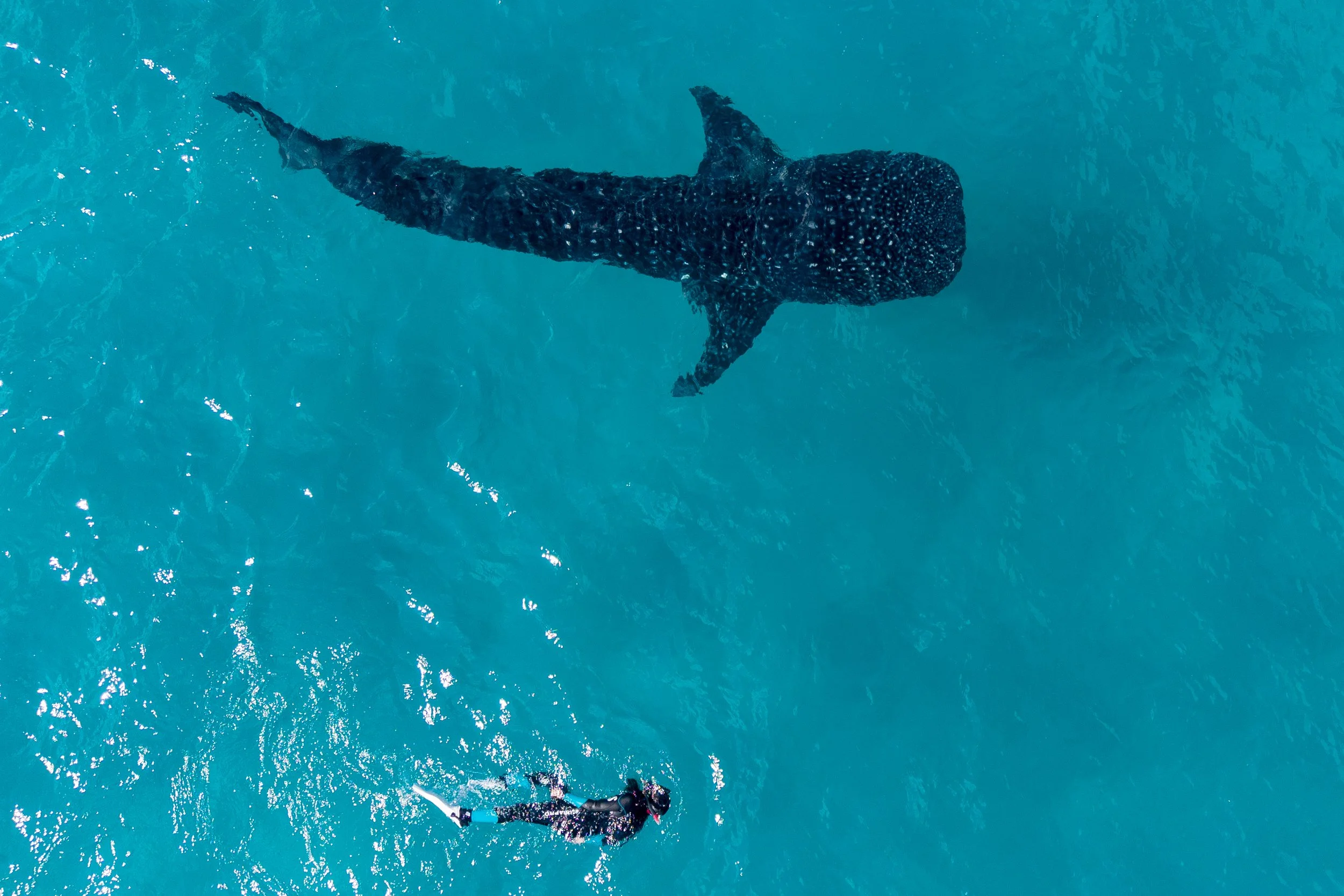 DJI_20260723114243_0107_D.jpg