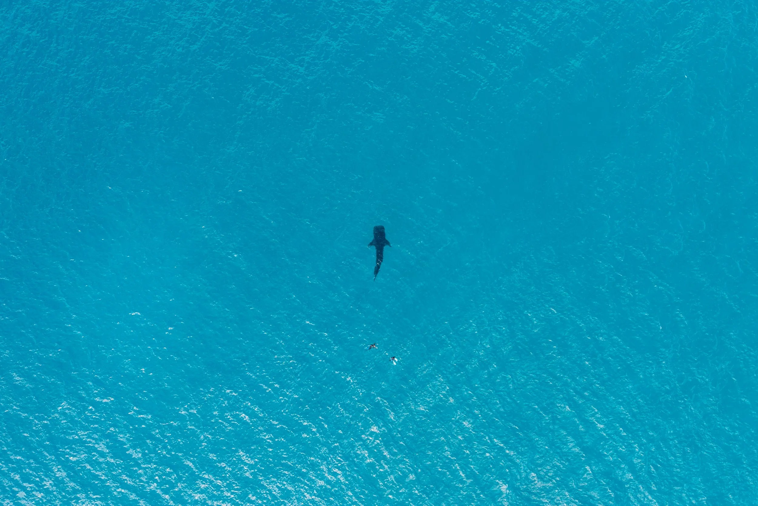 DJI_20260723114652_0122_D.jpg
