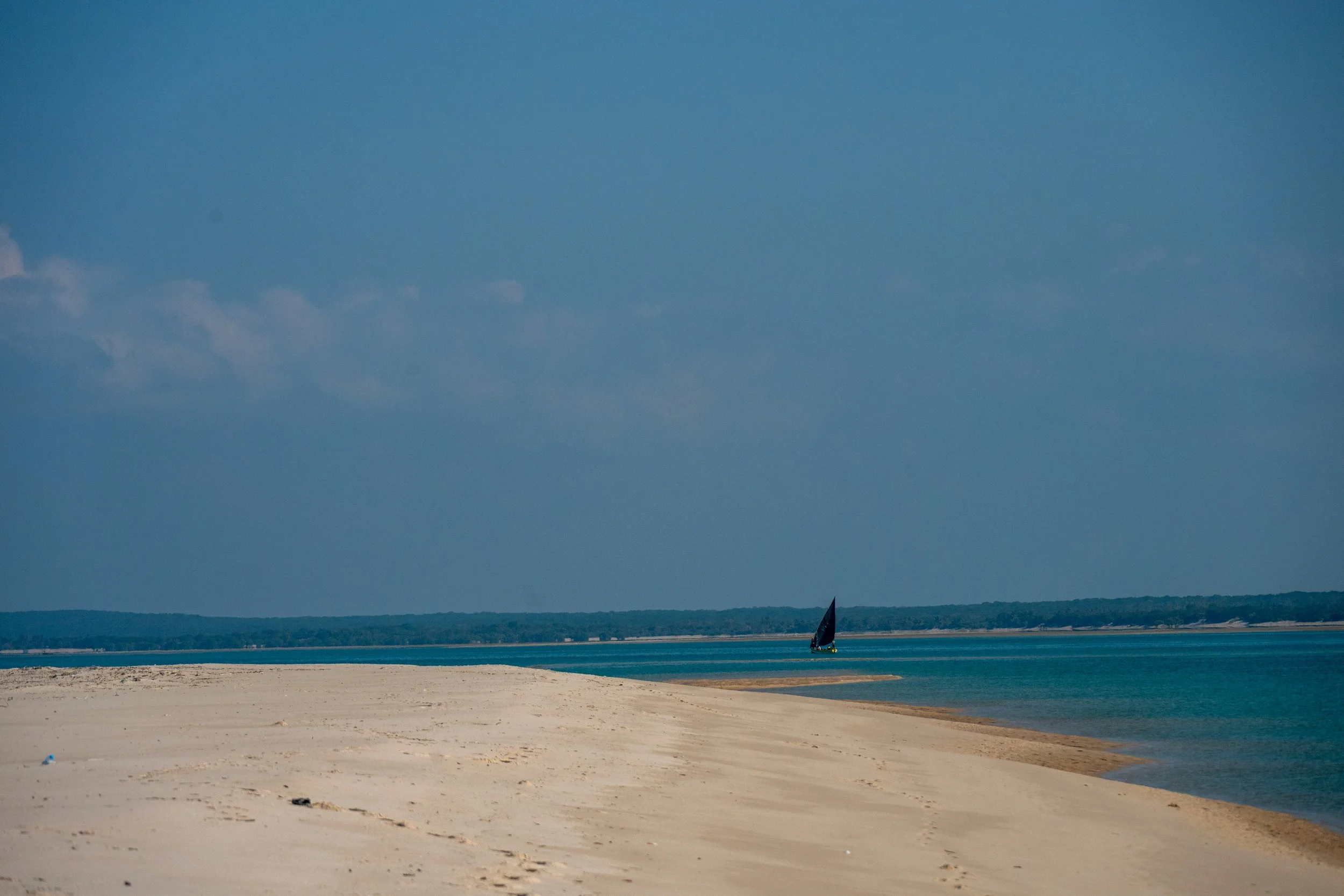 DSC_7308.jpg