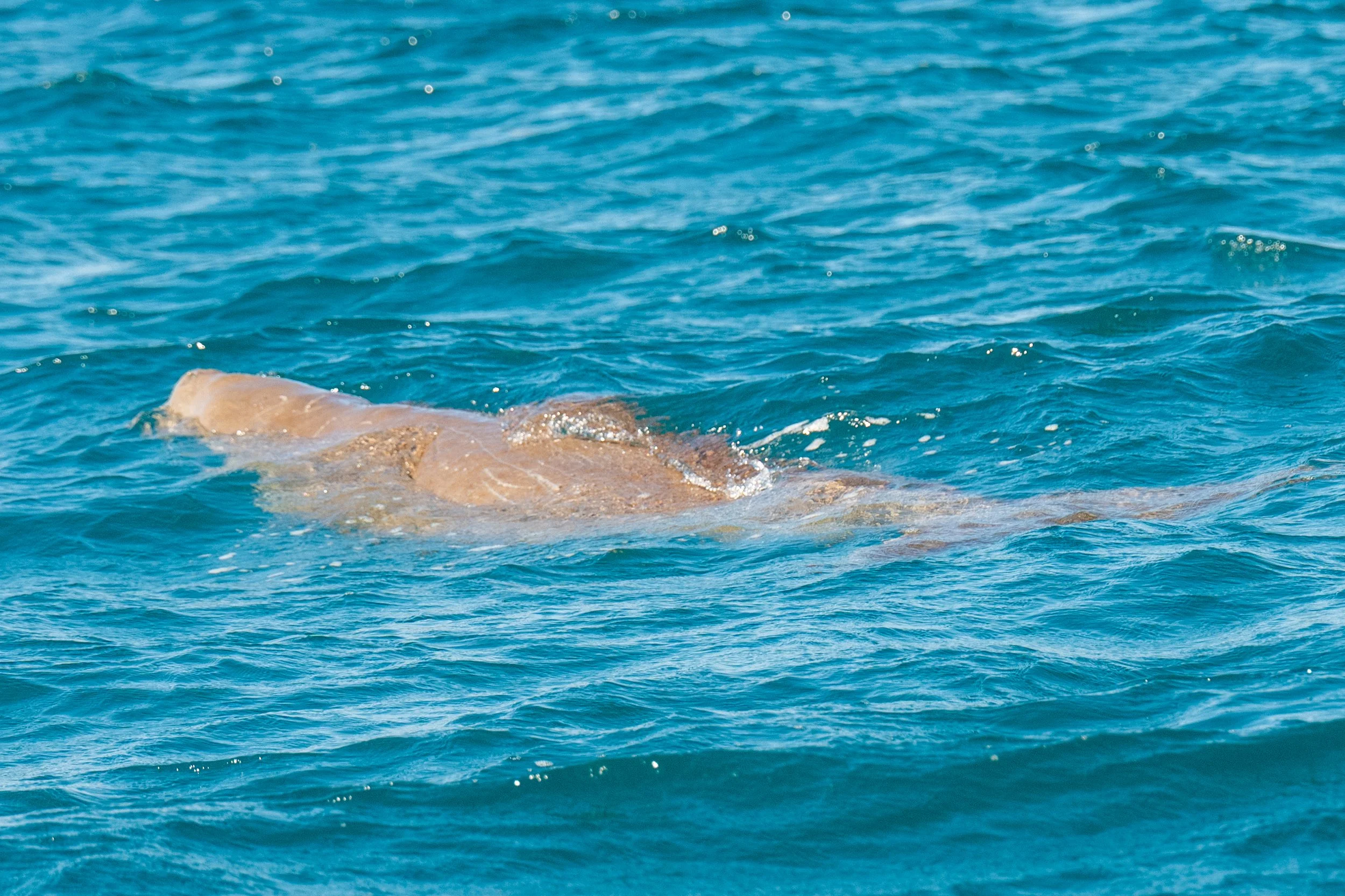 DSC_8141.jpg
