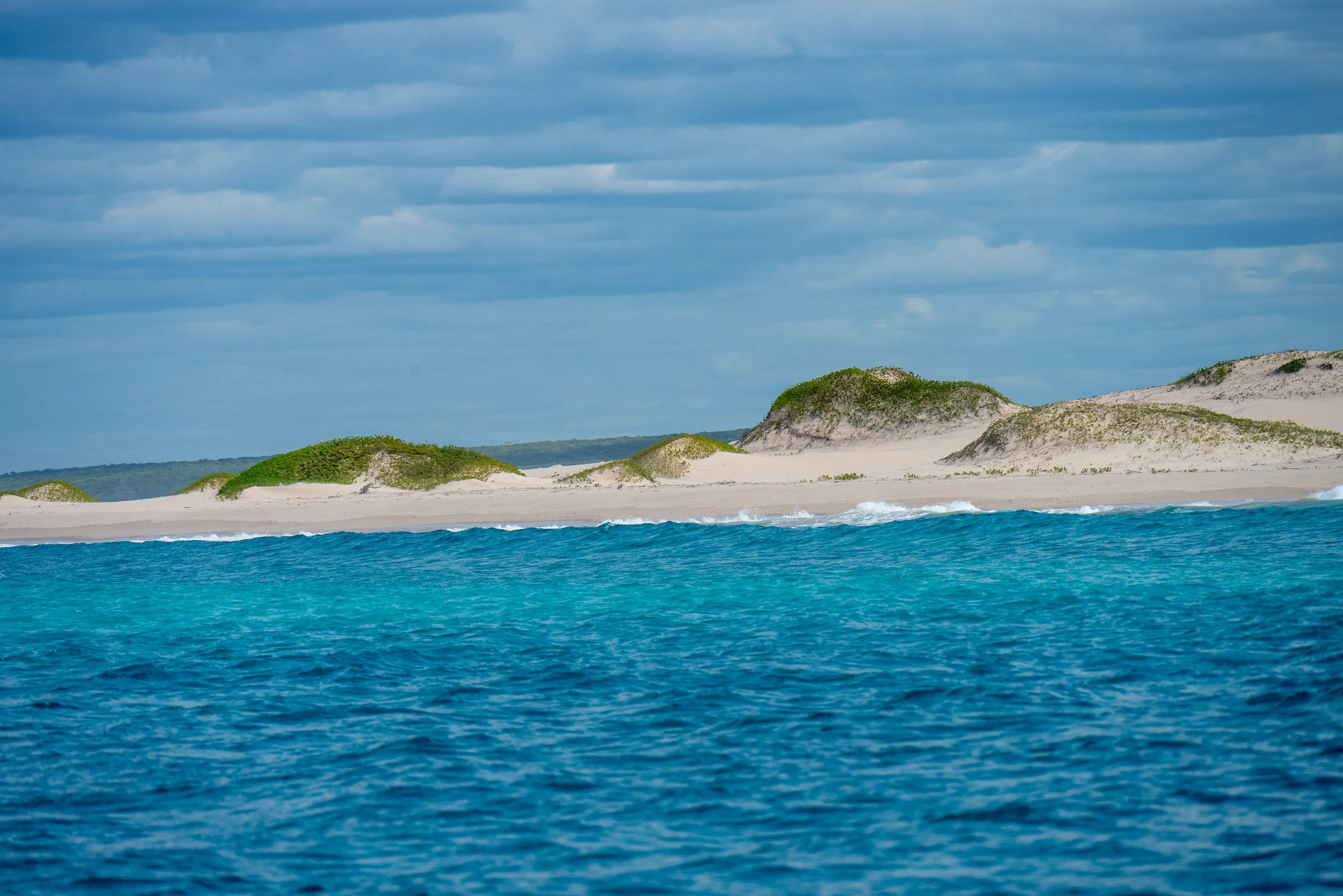 DSC_8758.jpg
