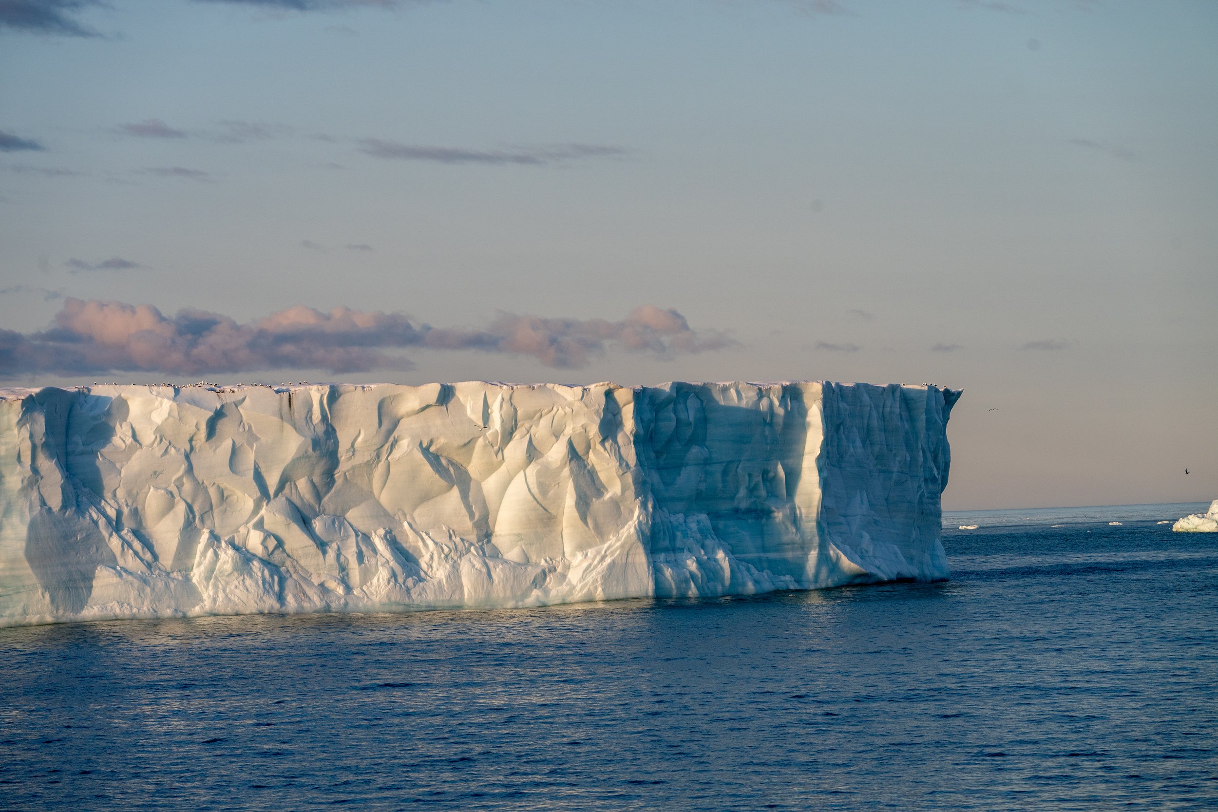 DSC_6042.jpg