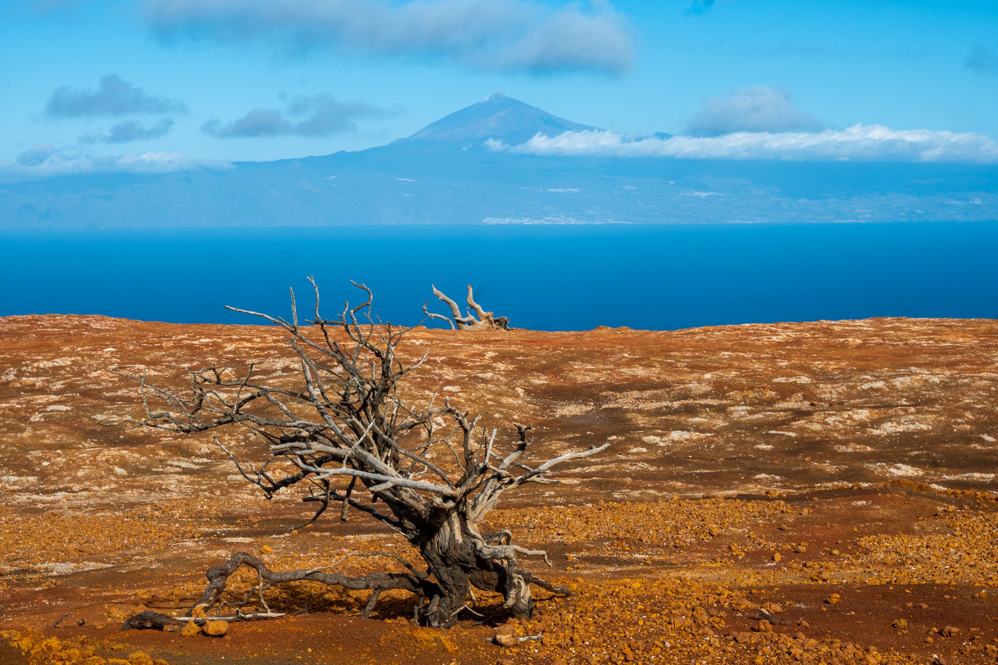 DSC_8348-2.jpg