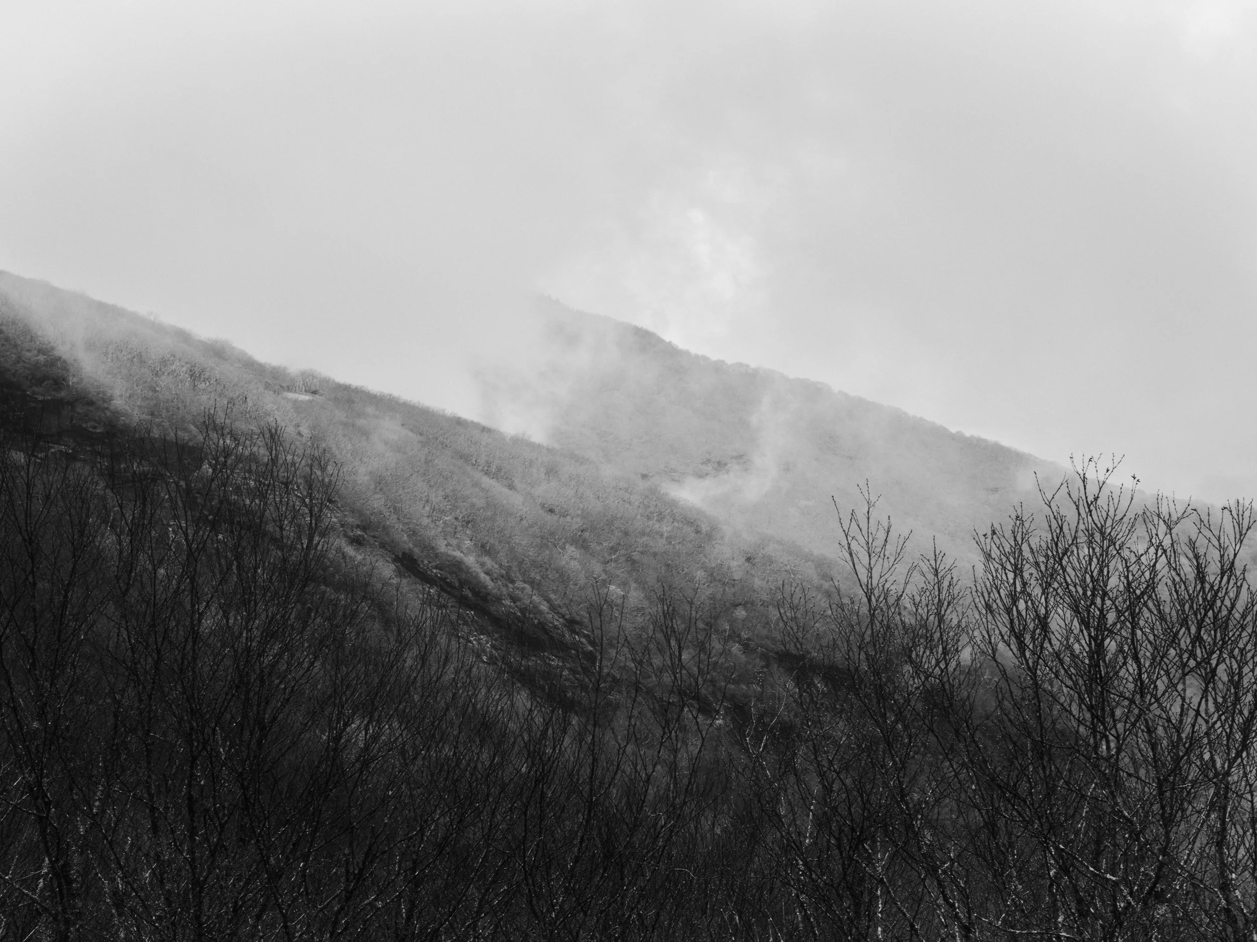L1020813.jpg