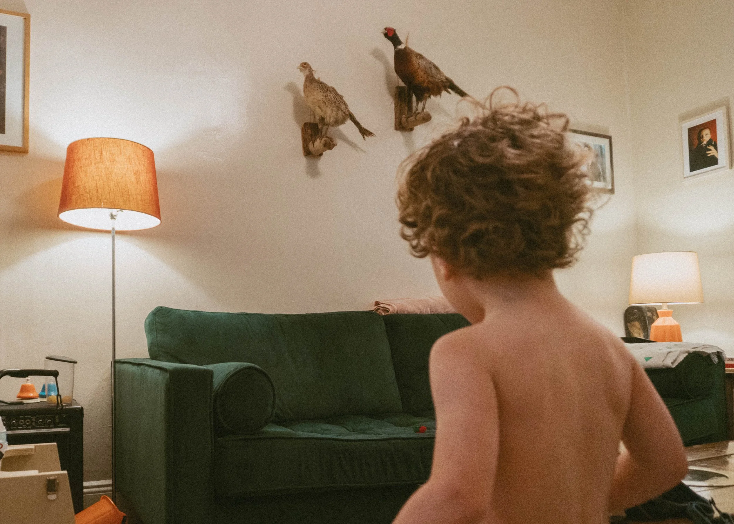 A young child with curly hair seen from behind, standing in a living room with a green couch, two lamps, framed pictures on the wall, and two mounted bird decorations.