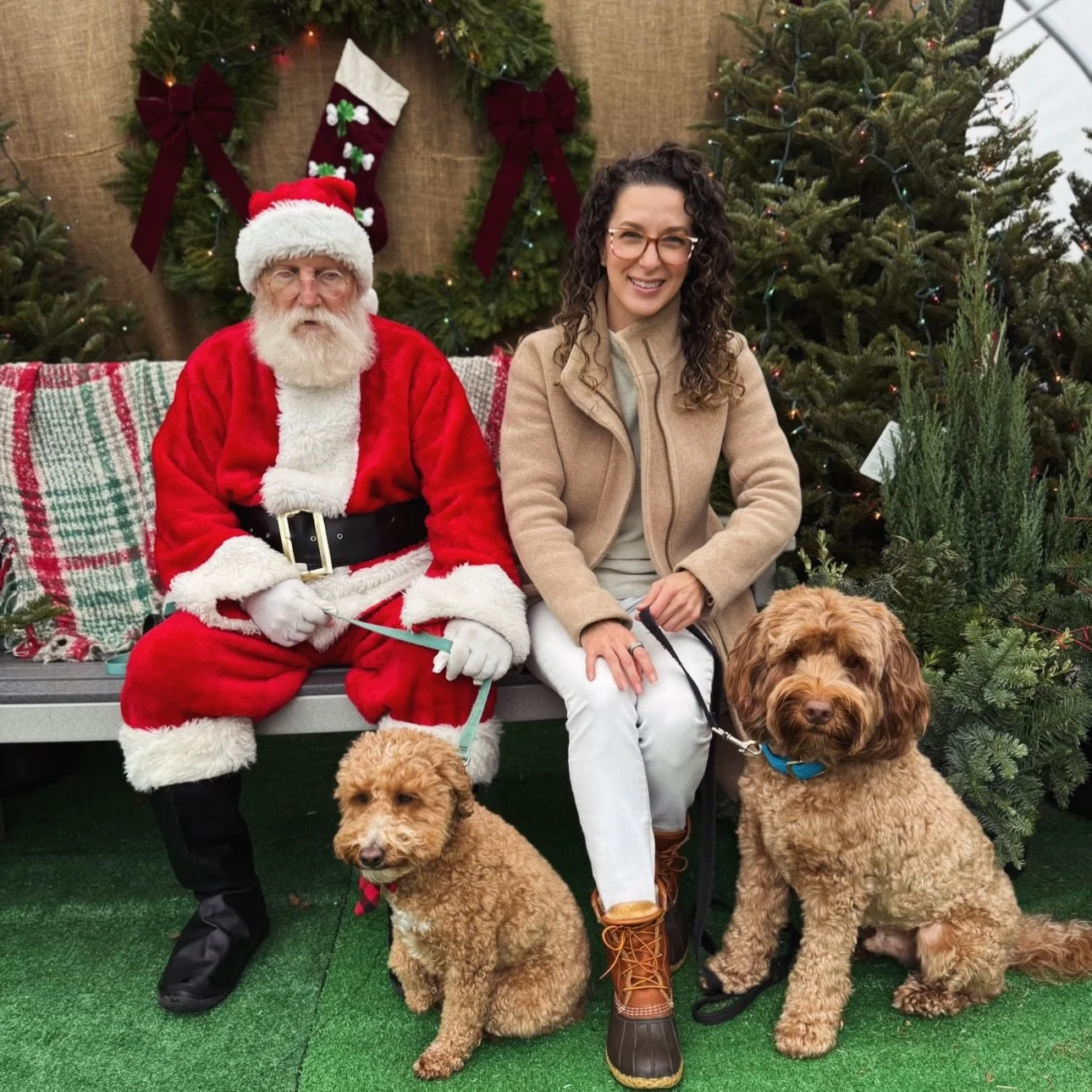 Santa was D O N E 

Cedar peed on the tree 🫣

Flora was terrified 

But hey, we tried!

Happy Christmas, Krave family! 🎄🎅🏼

Thank you for supporting me this year and may 2026 bring joy, adventure, connection, health, and success! Xo