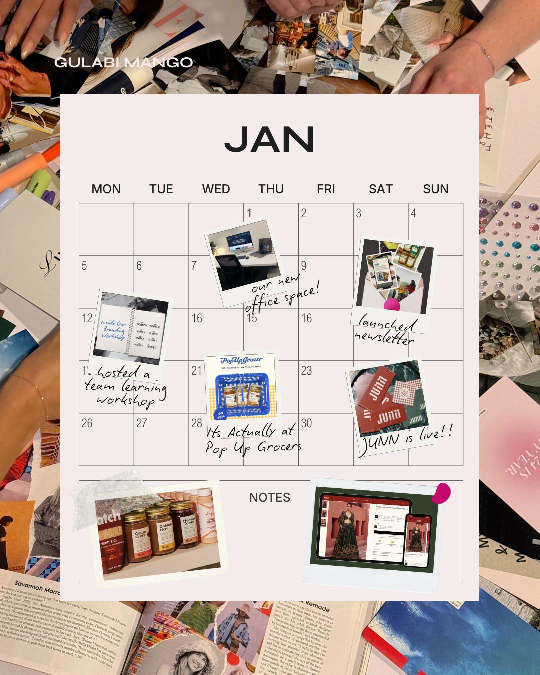 What January Looked Like At Gulabi Mango