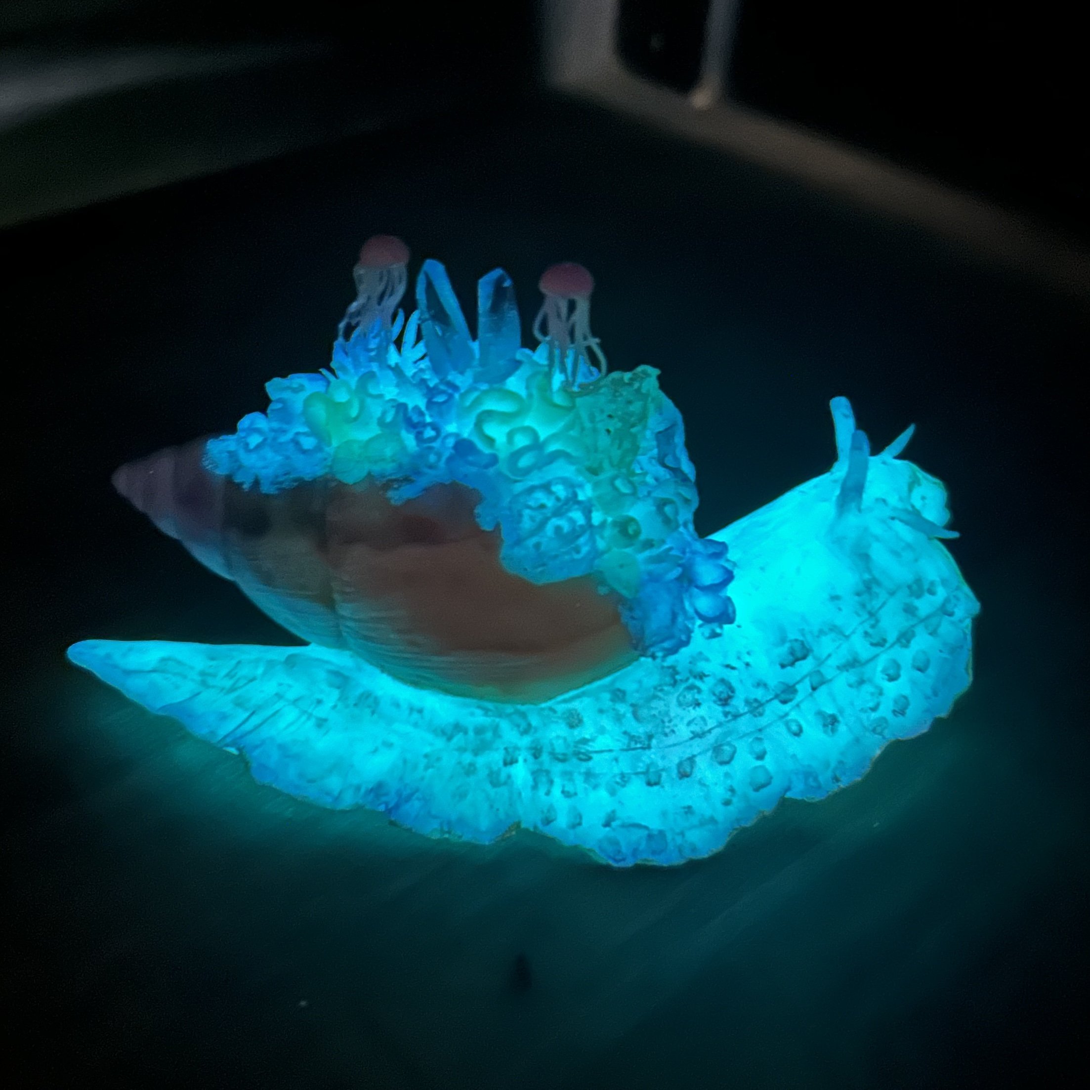 53183DCC-8C24-4988-B0A8-5A81AD0EE44D.jpeg