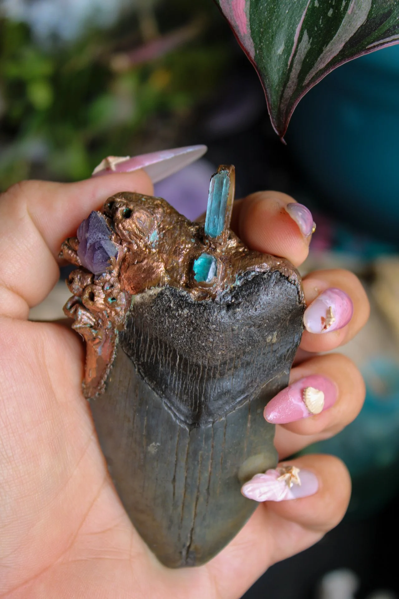 Megalodon Totem necklace.