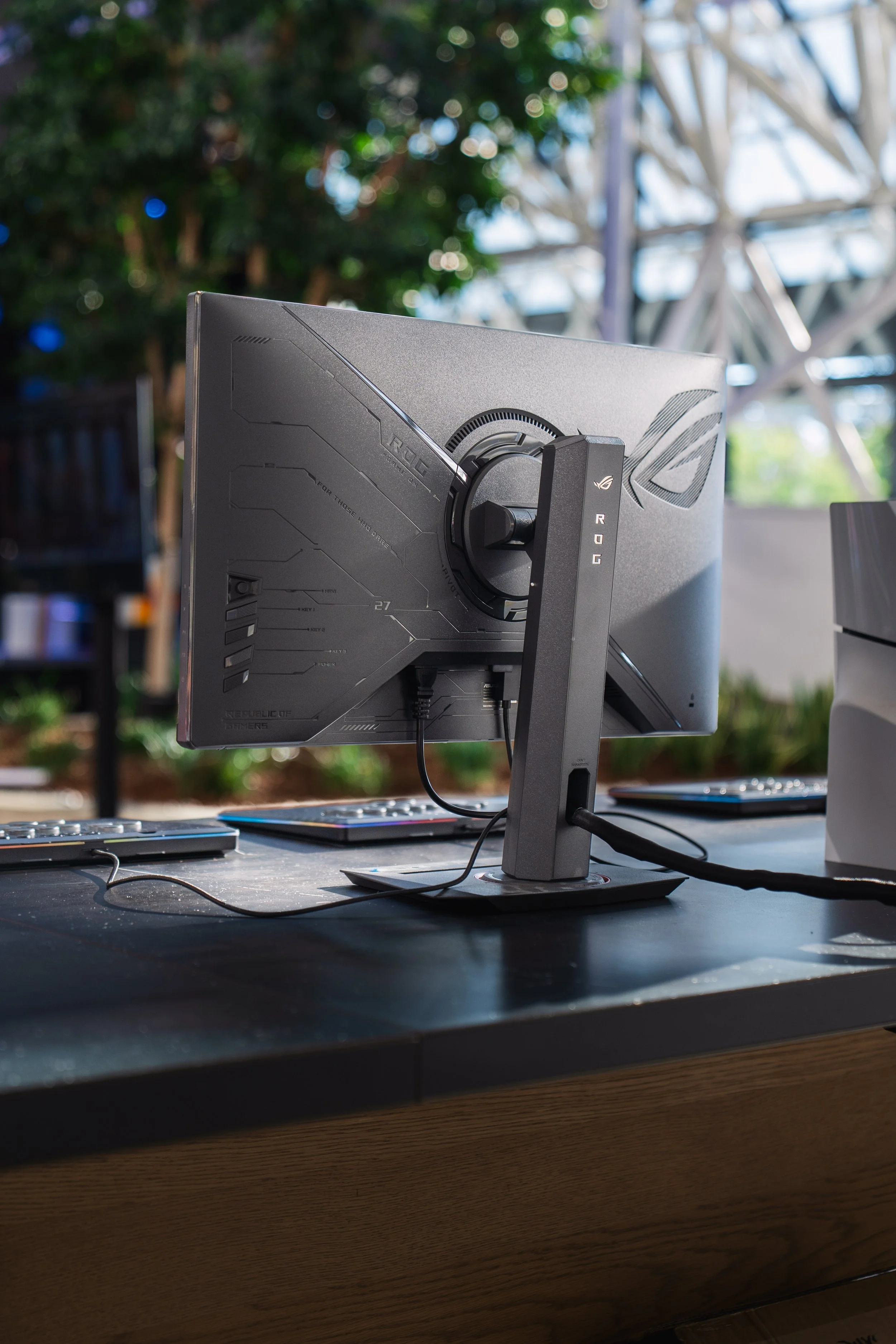 ASUS SFL LA 2025-00084.jpg