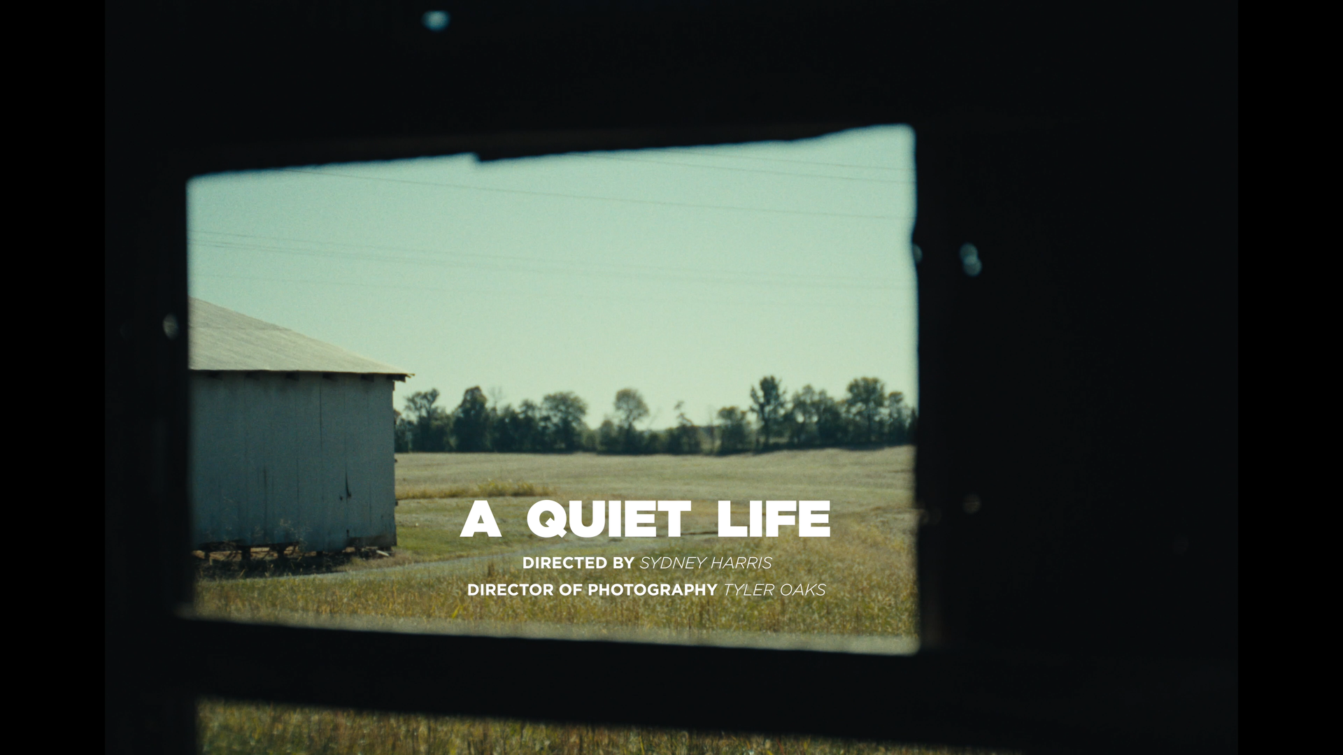 "A QUIET LIFE" - Documentary