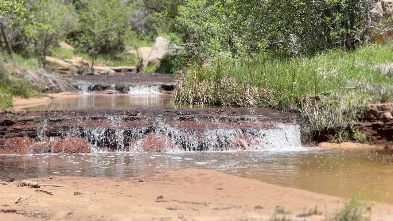 A small, gentle creek with water cascading over rocks through a green, wooded area.