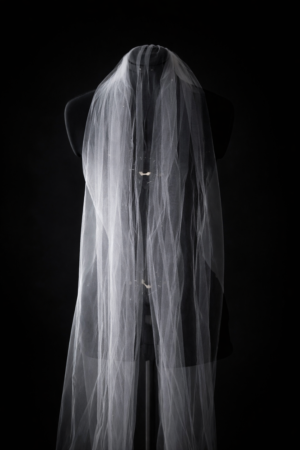 ChatGPT Image Jan 29, 2026, 04_45_12 PM.png