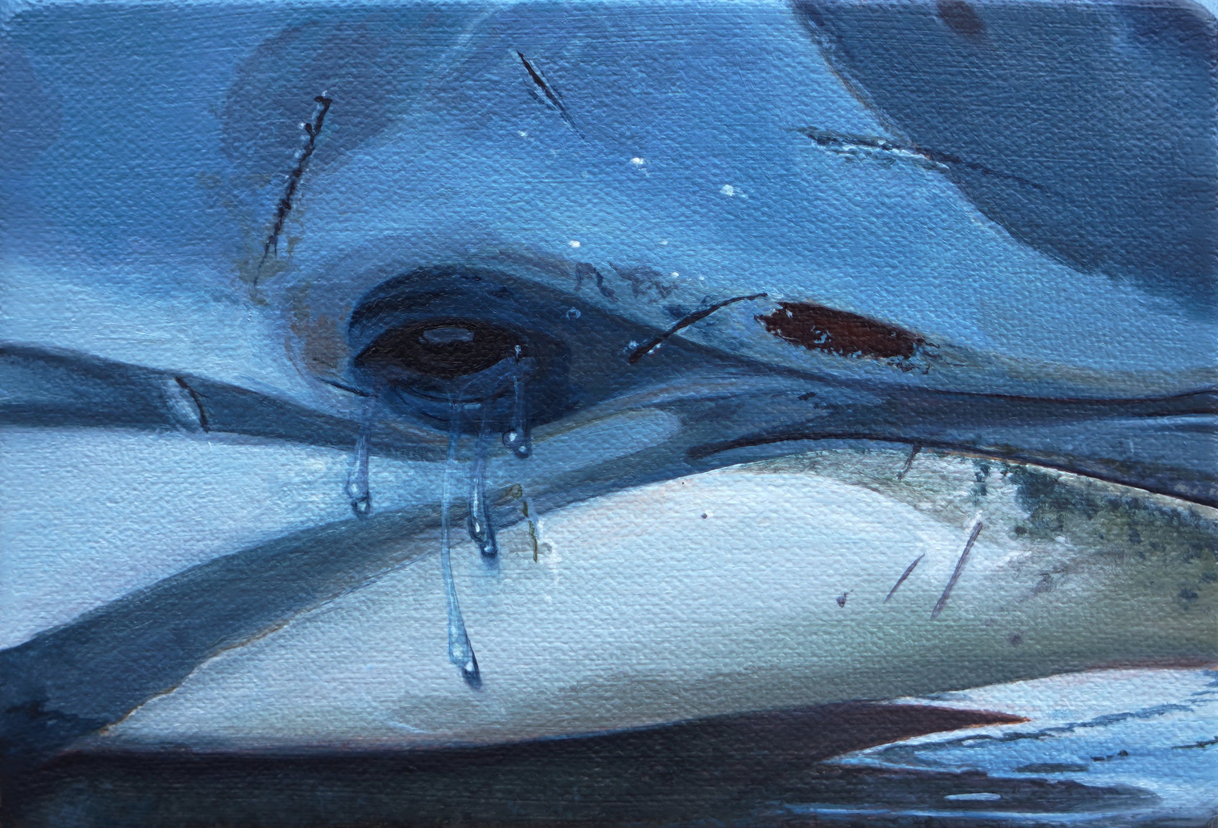 Untitled, Oil on Canvas, 4 x 6 inches, 2025