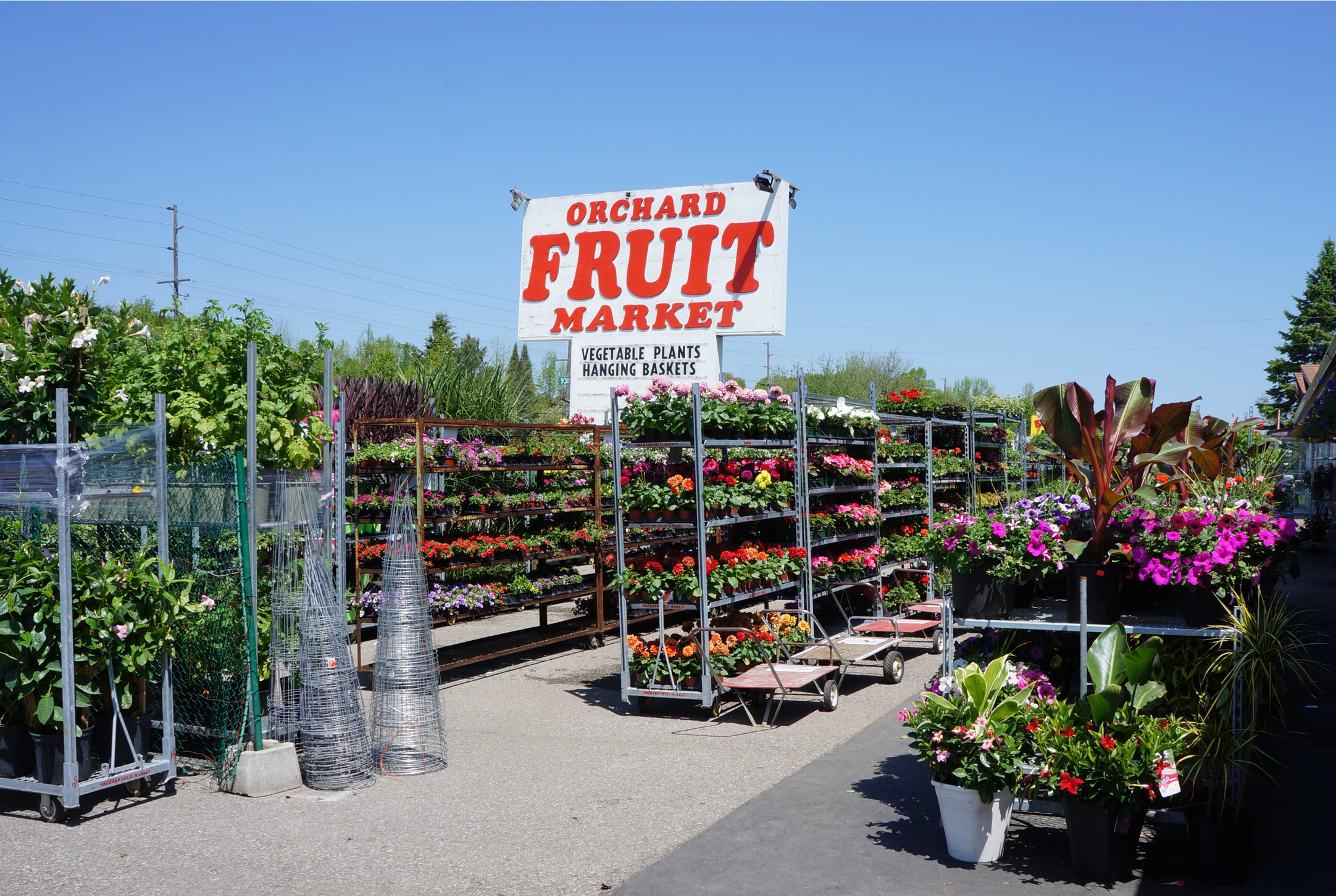 Orchard Fruit Market Severn Ontario garden centre opening