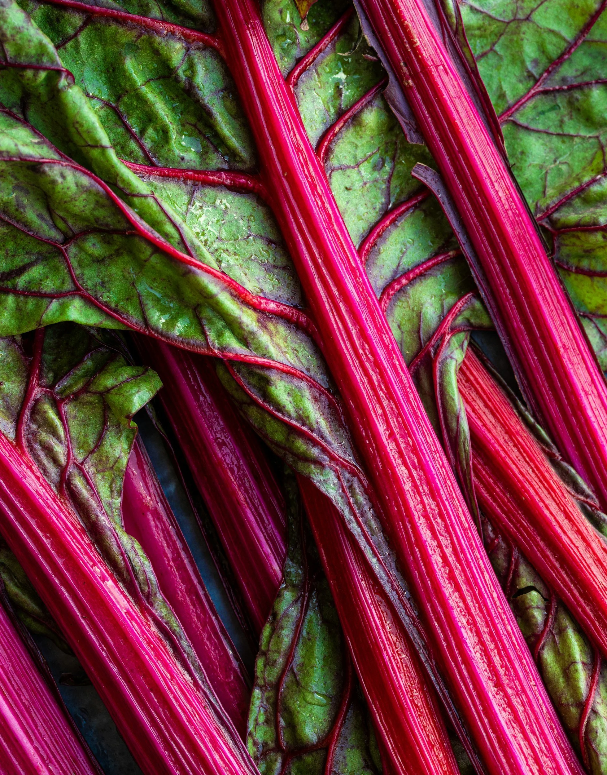 Ontario Rhubarb