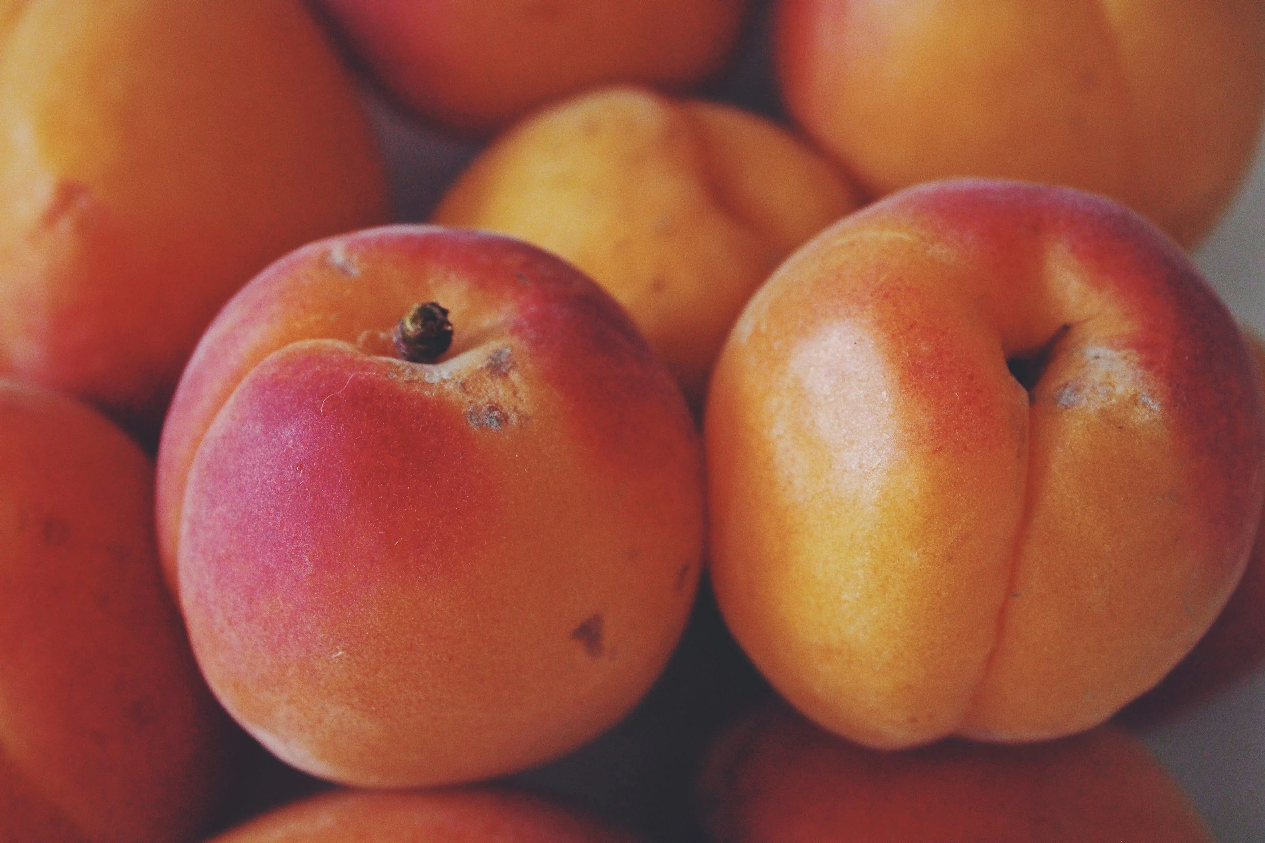 Ontario Nectarines
