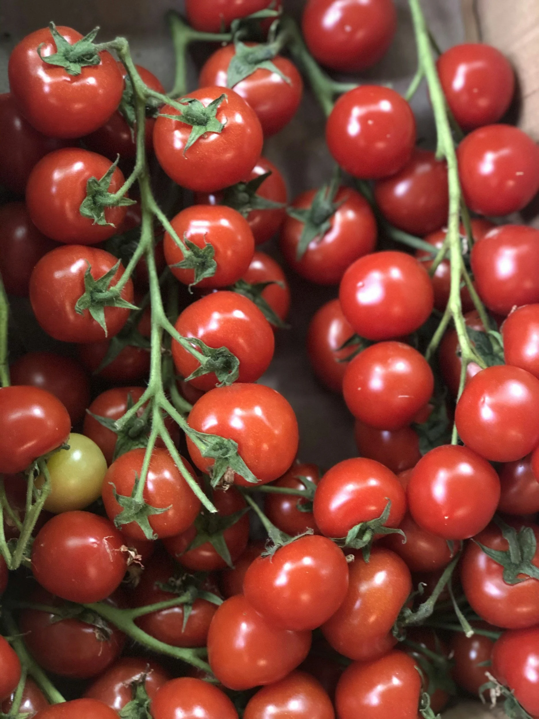 Ontario Tomatoes Cherry