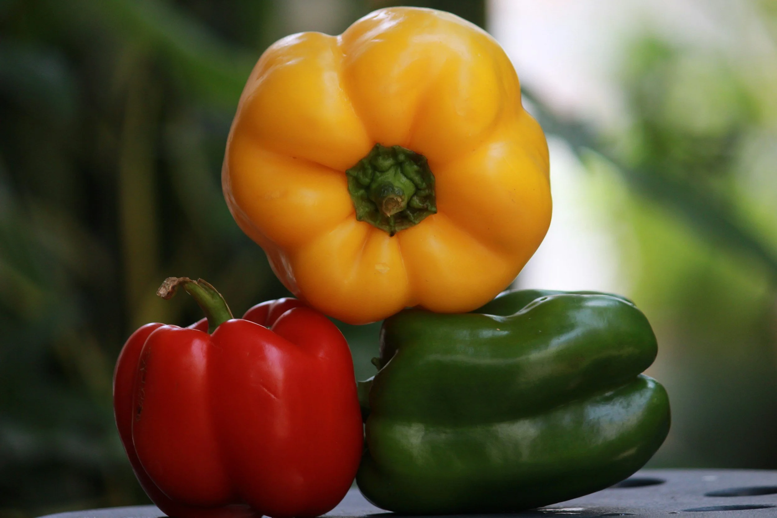 Ontario Bell Peppers