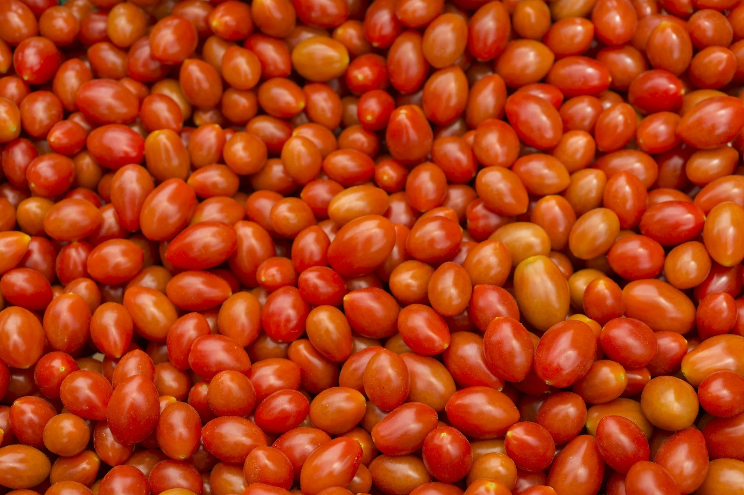 Ontario Tomatoes Grape