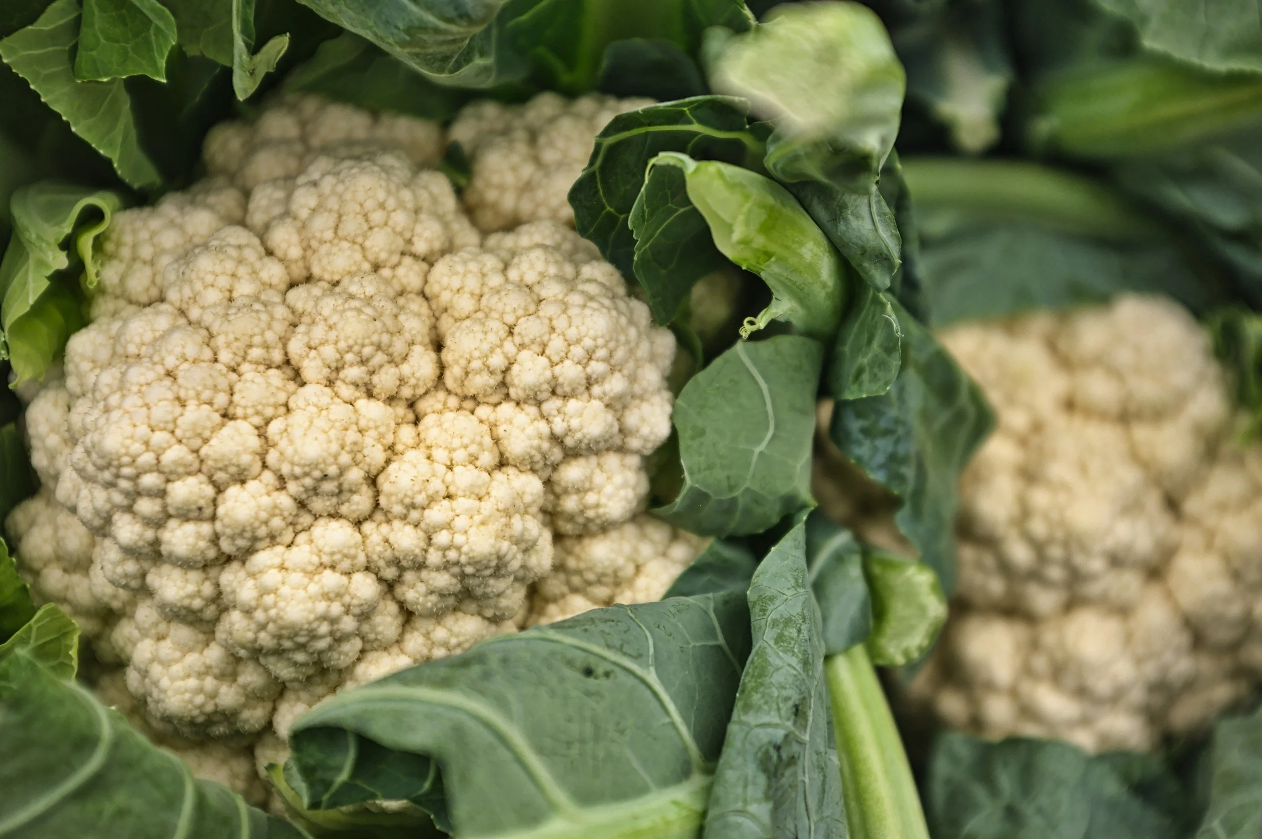 Ontario Cauliflower