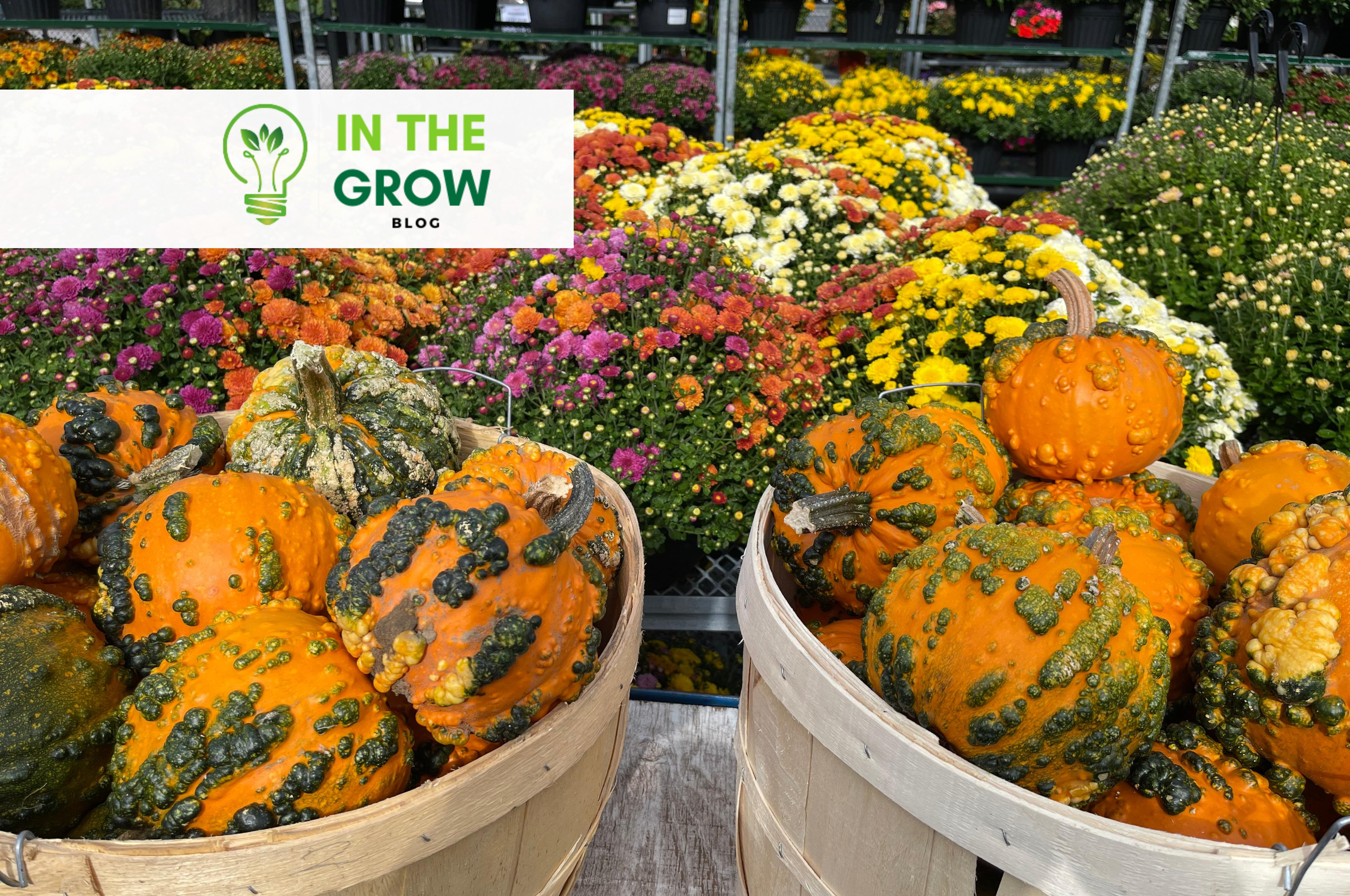 Top 10 Must-Haves for Creating the Perfect Fall Porch