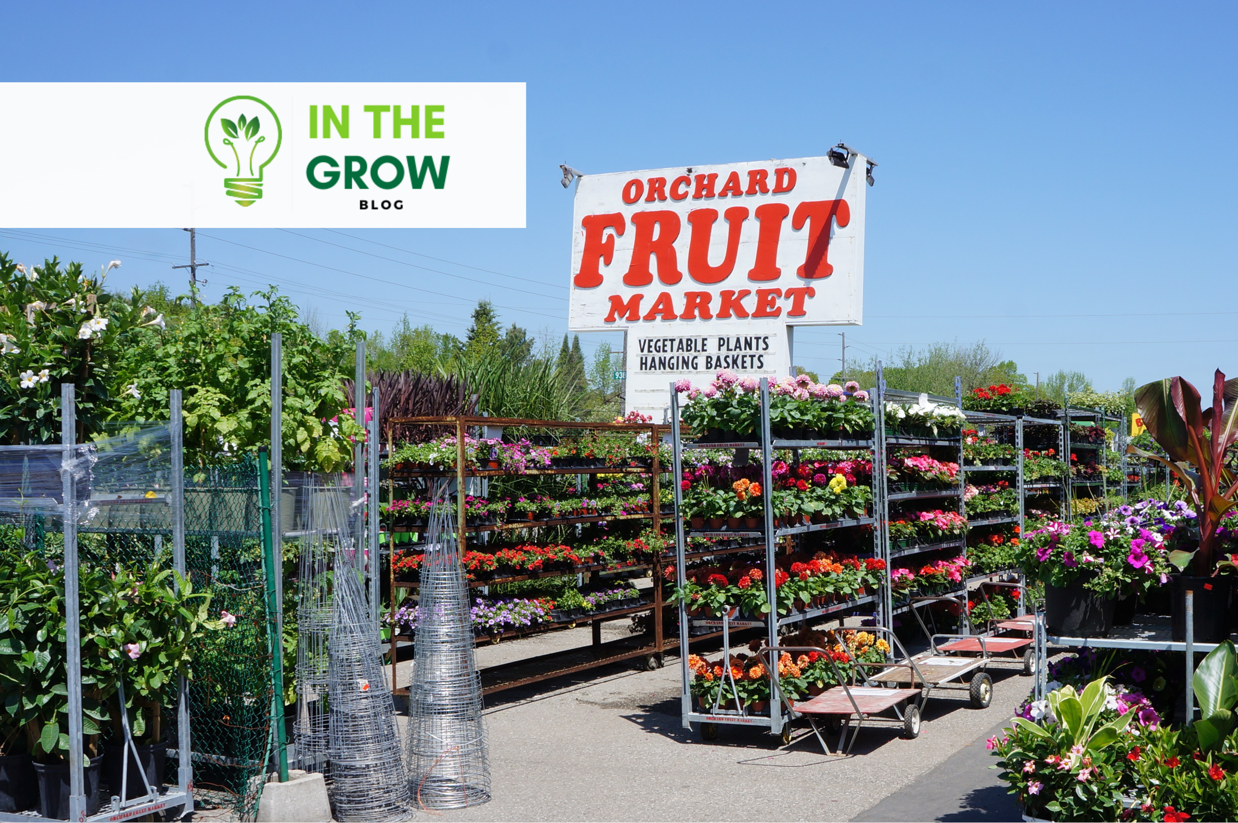 Now Open | Orchard Fruit Market