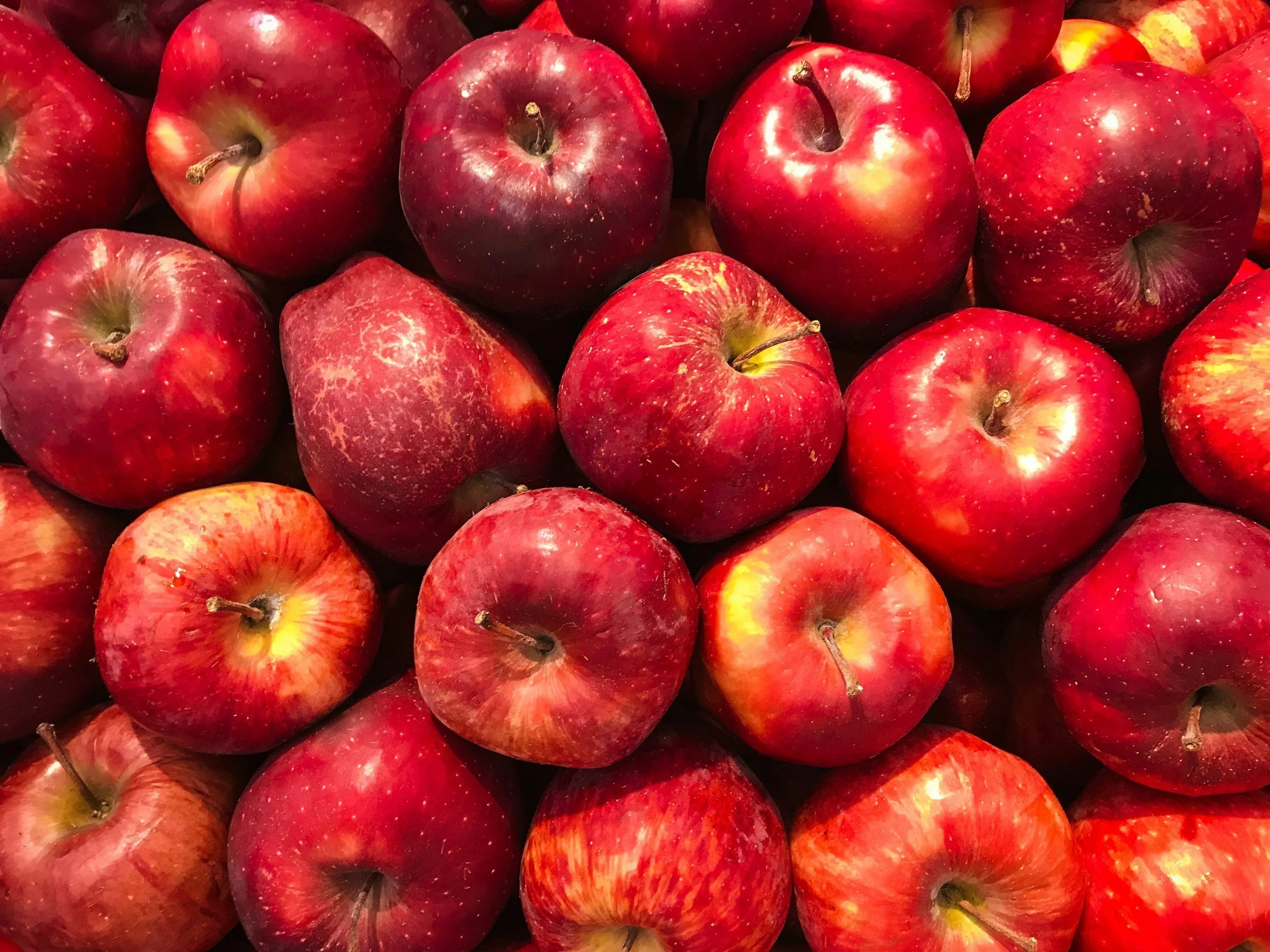 Ontario Apples